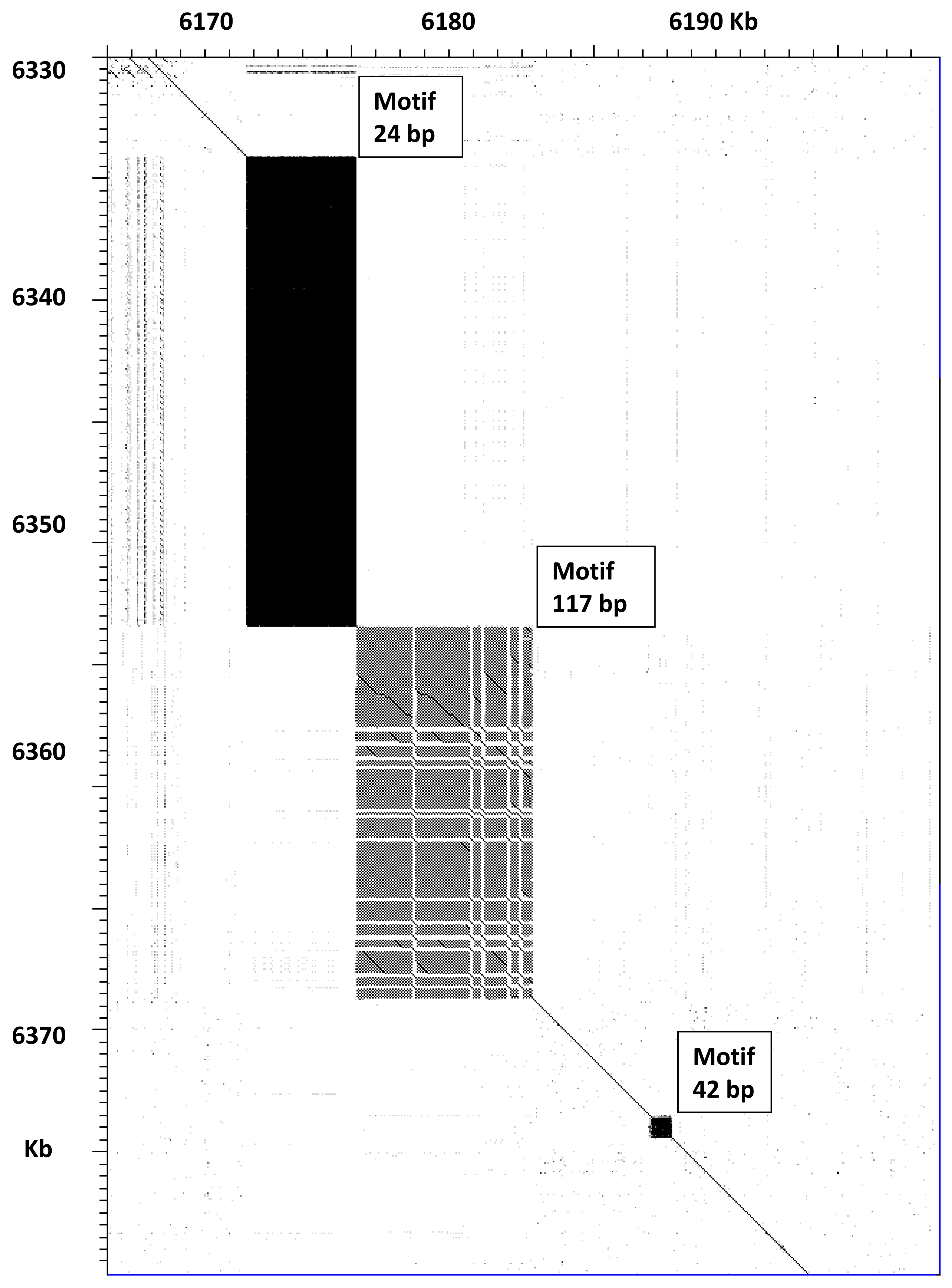 Genes 09 00500 g003 Genes 09 00500 g003