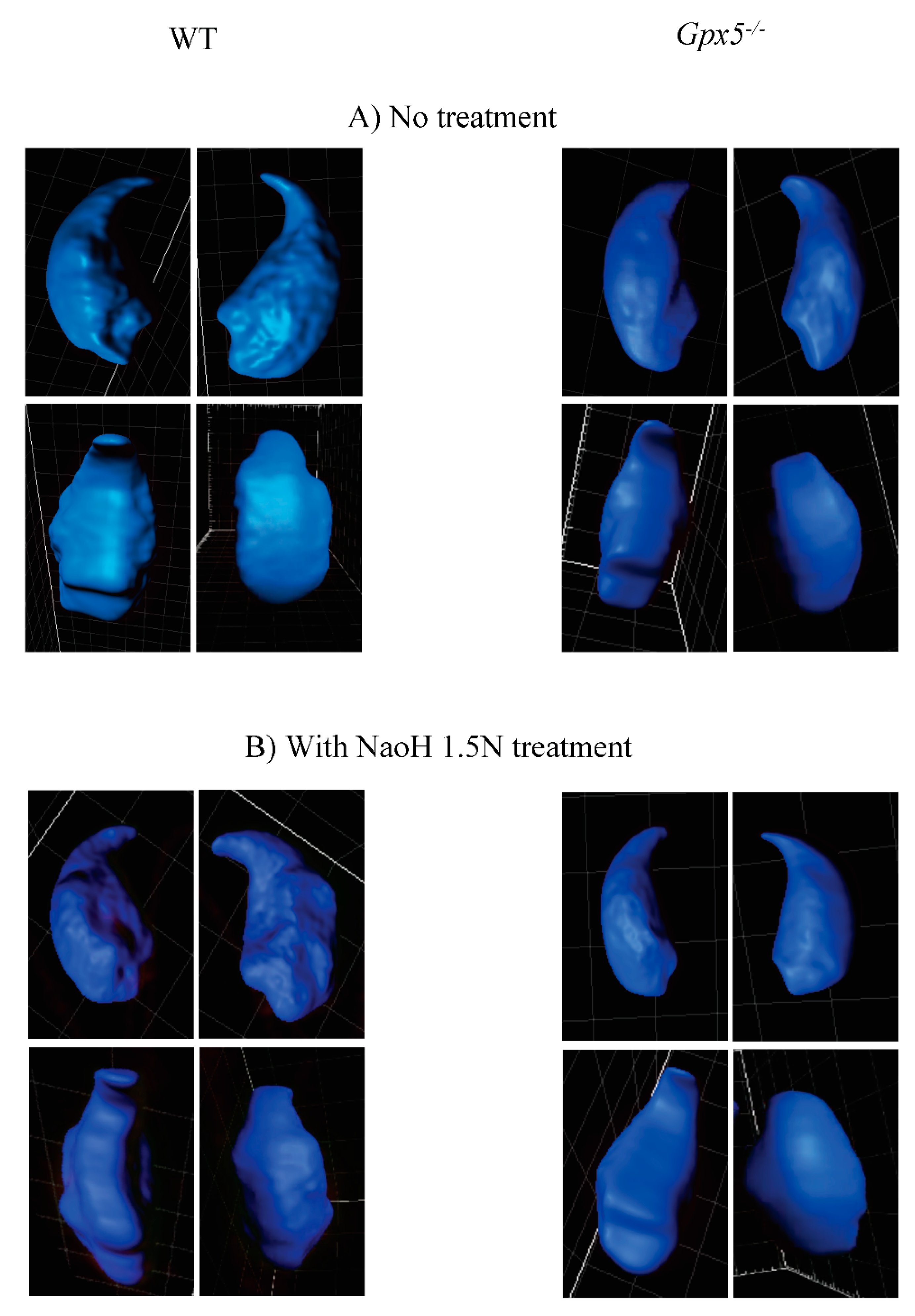 Genes 09 00501 g004a
