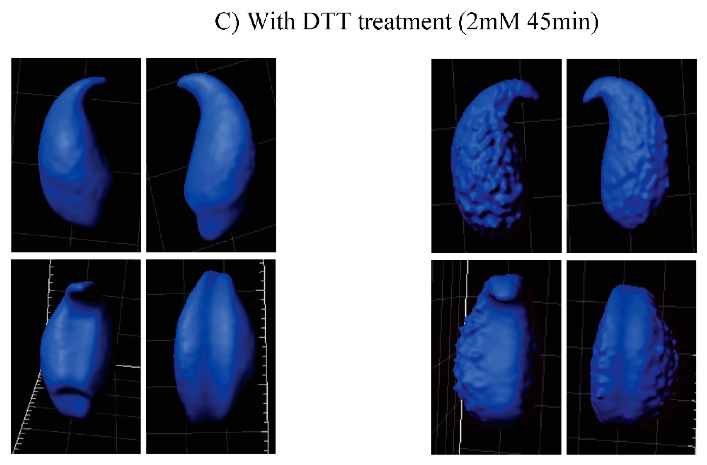 Genes 09 00501 g004b