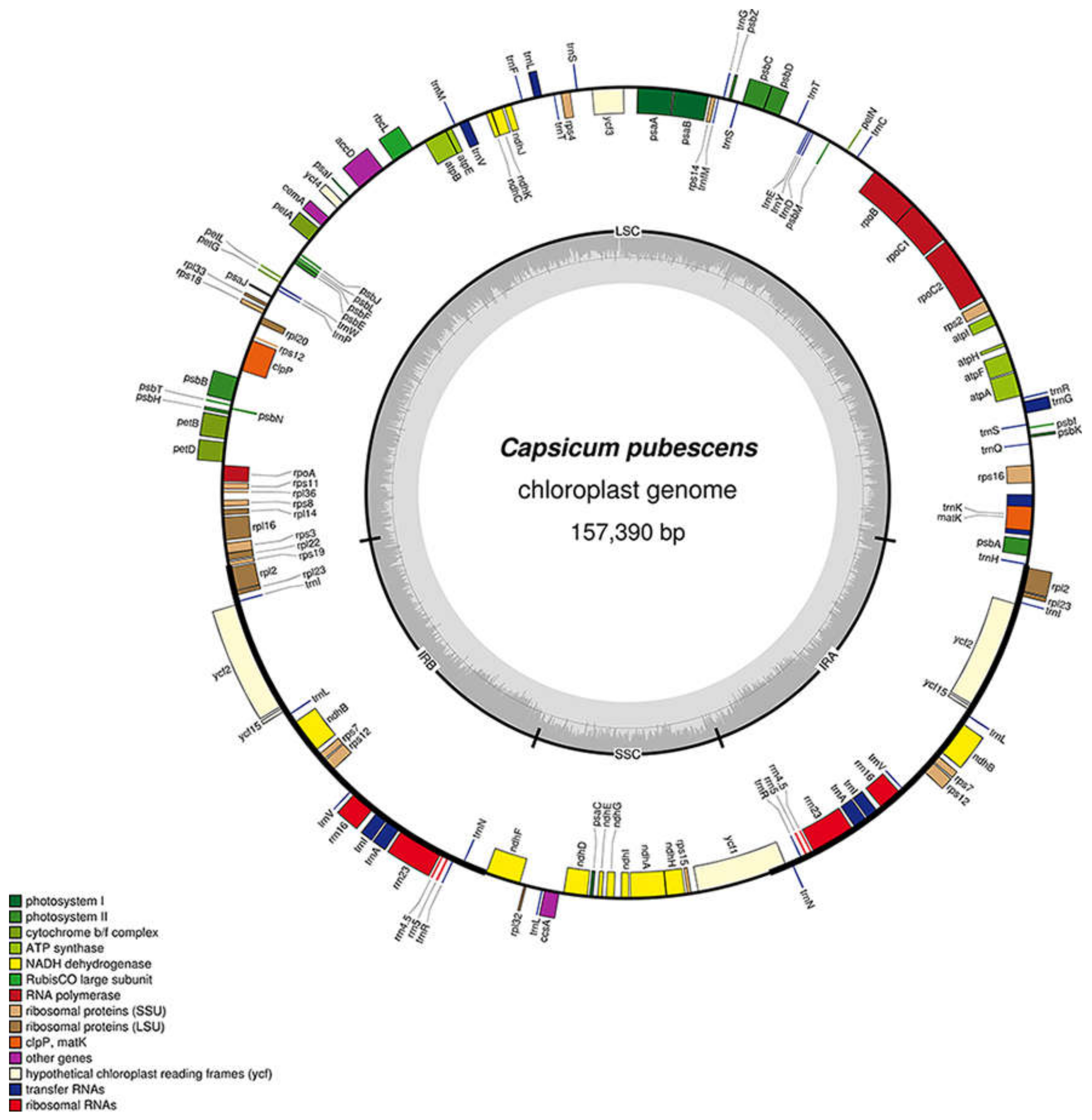 Genes 09 00503 g001 Genes 09 00503 g001
