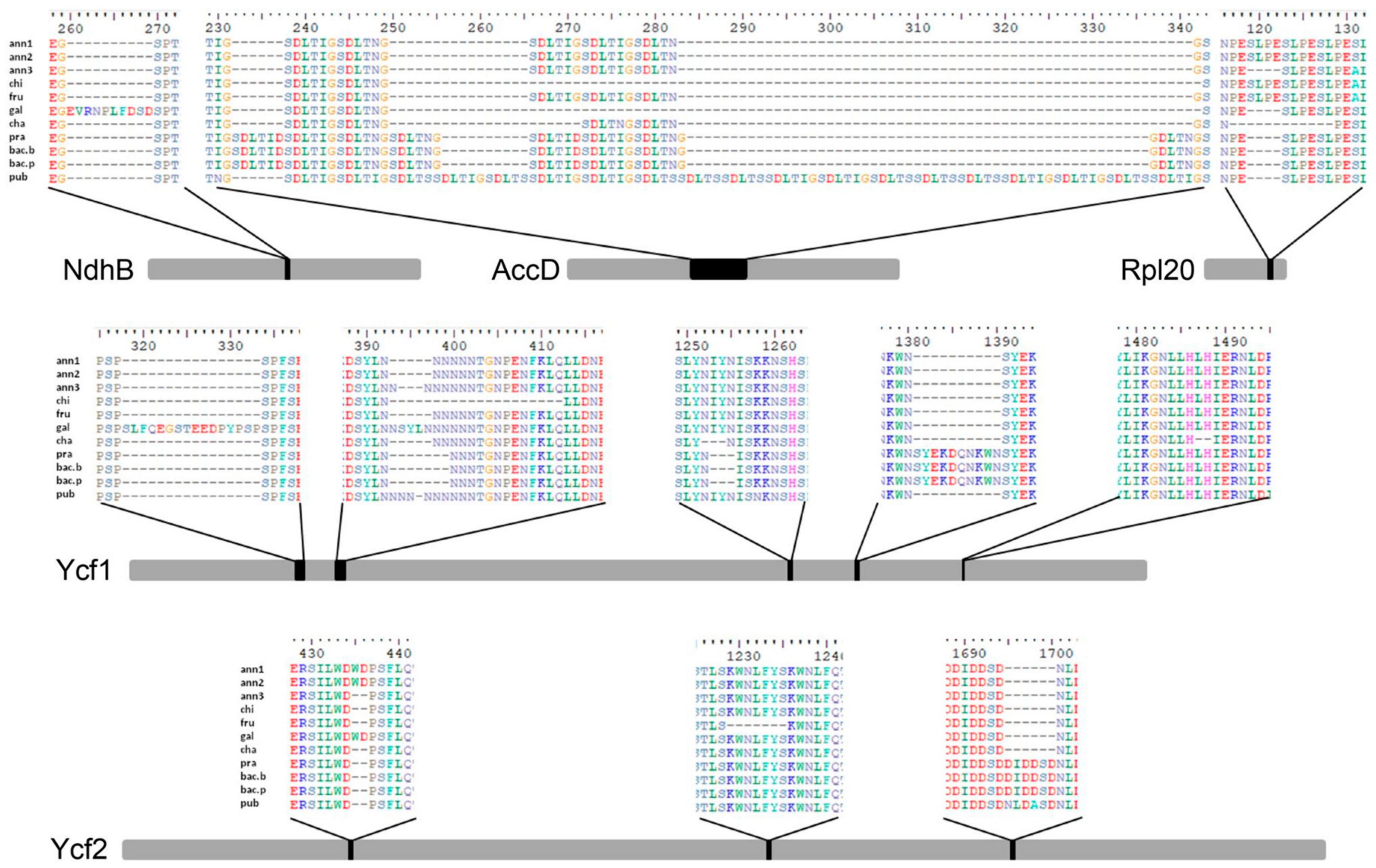 Genes 09 00503 g003 Genes 09 00503 g003