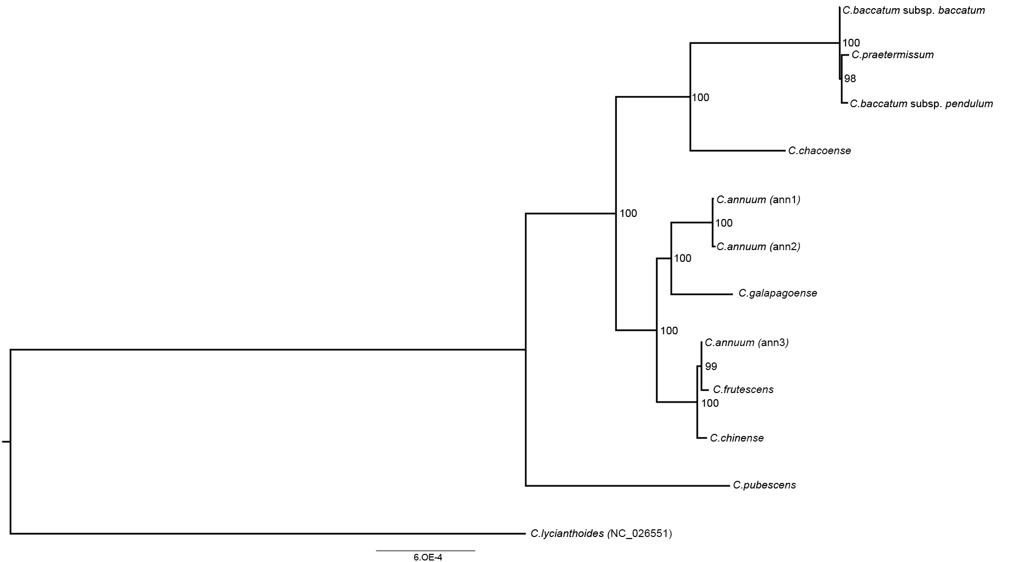 Genes 09 00503 g004 Genes 09 00503 g004