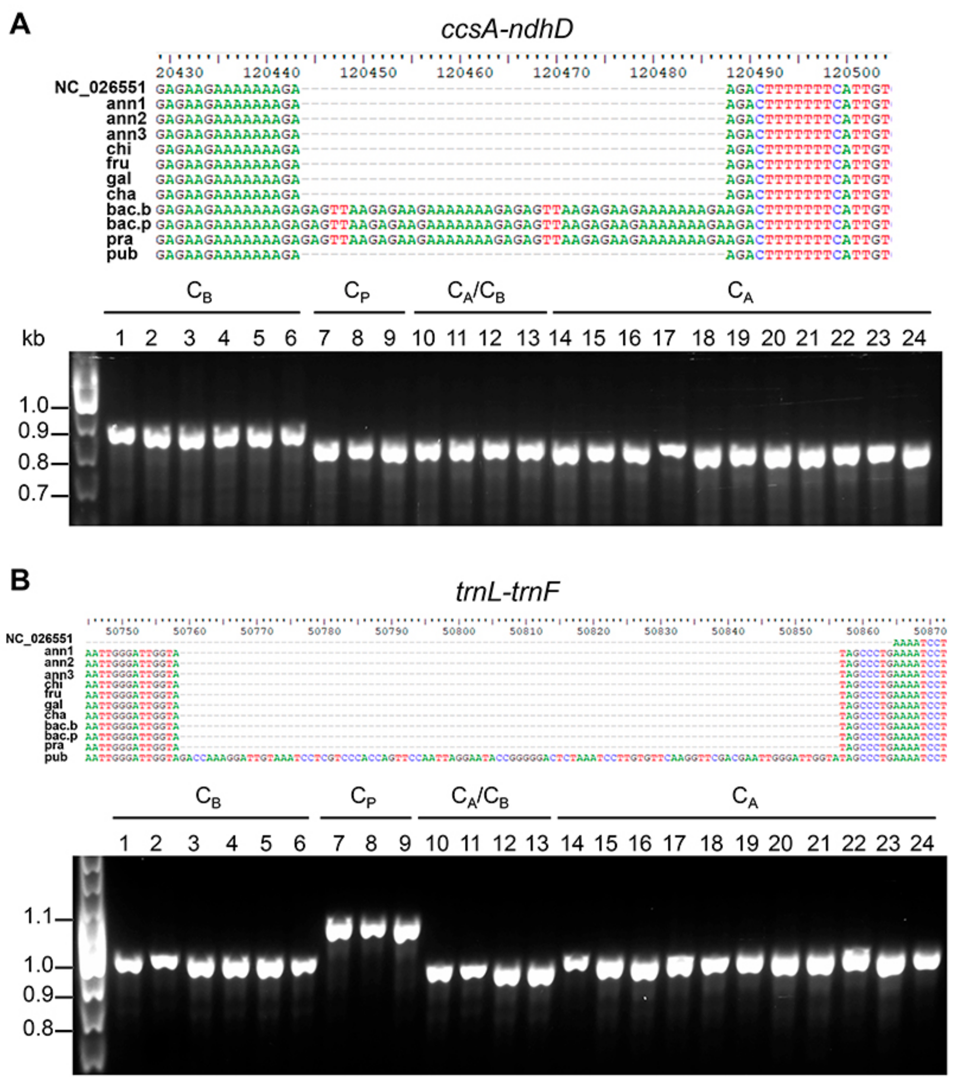 Genes 09 00503 g006 Genes 09 00503 g006