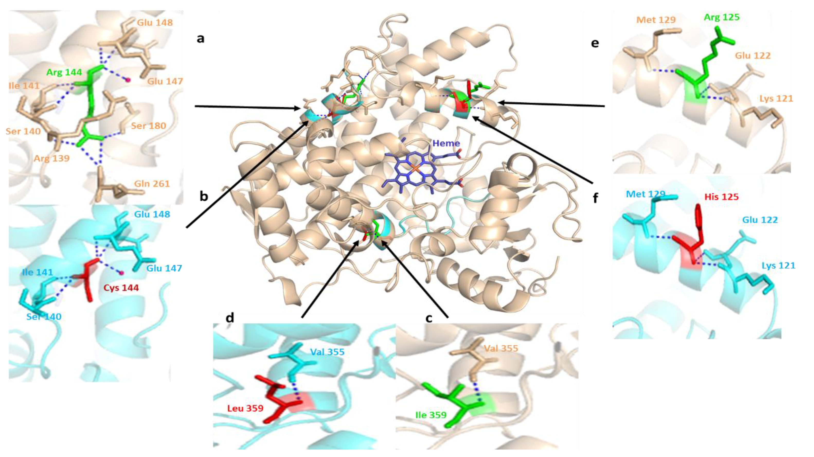 Genes 09 00514 g005