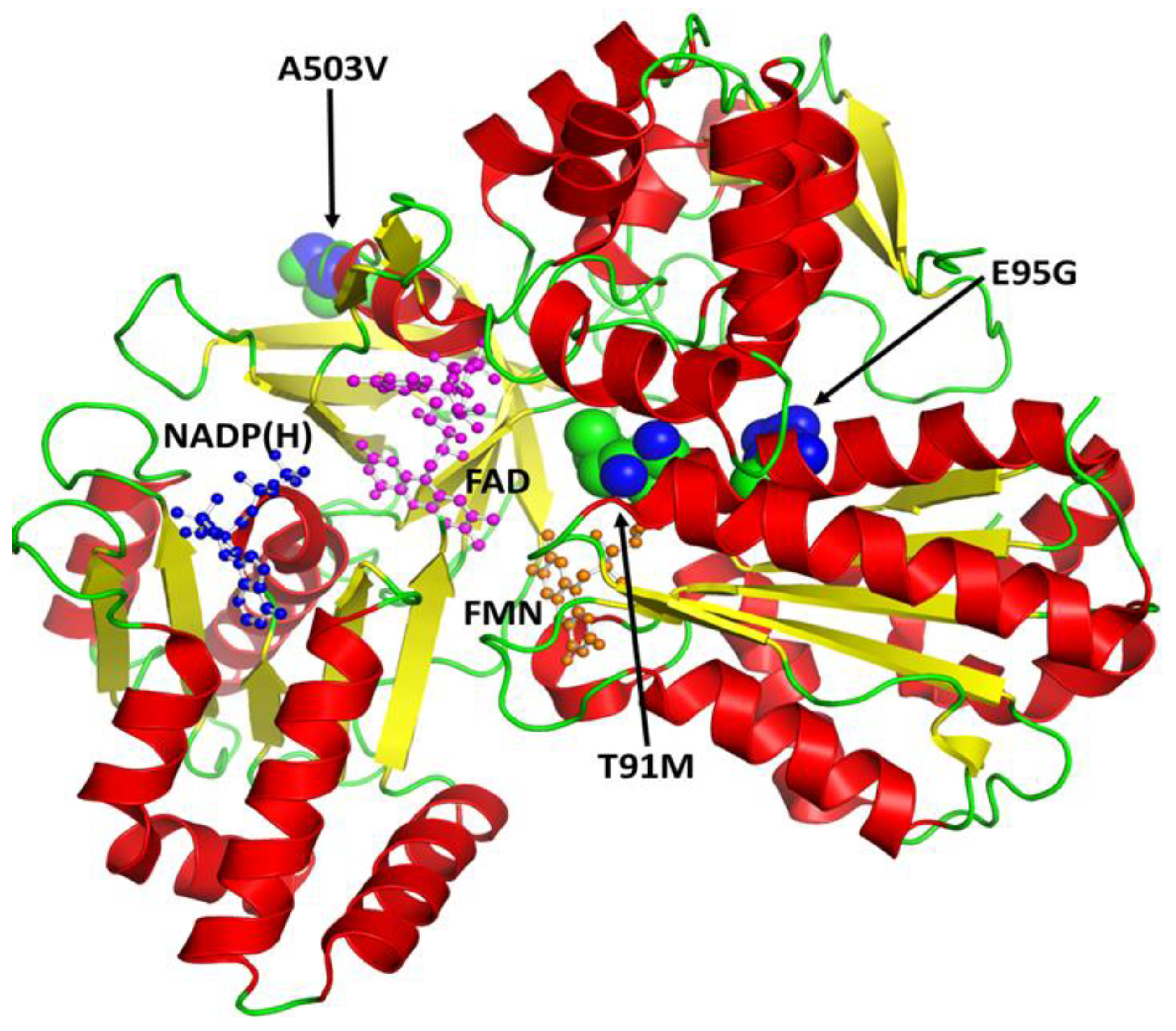 Genes 09 00514 g007