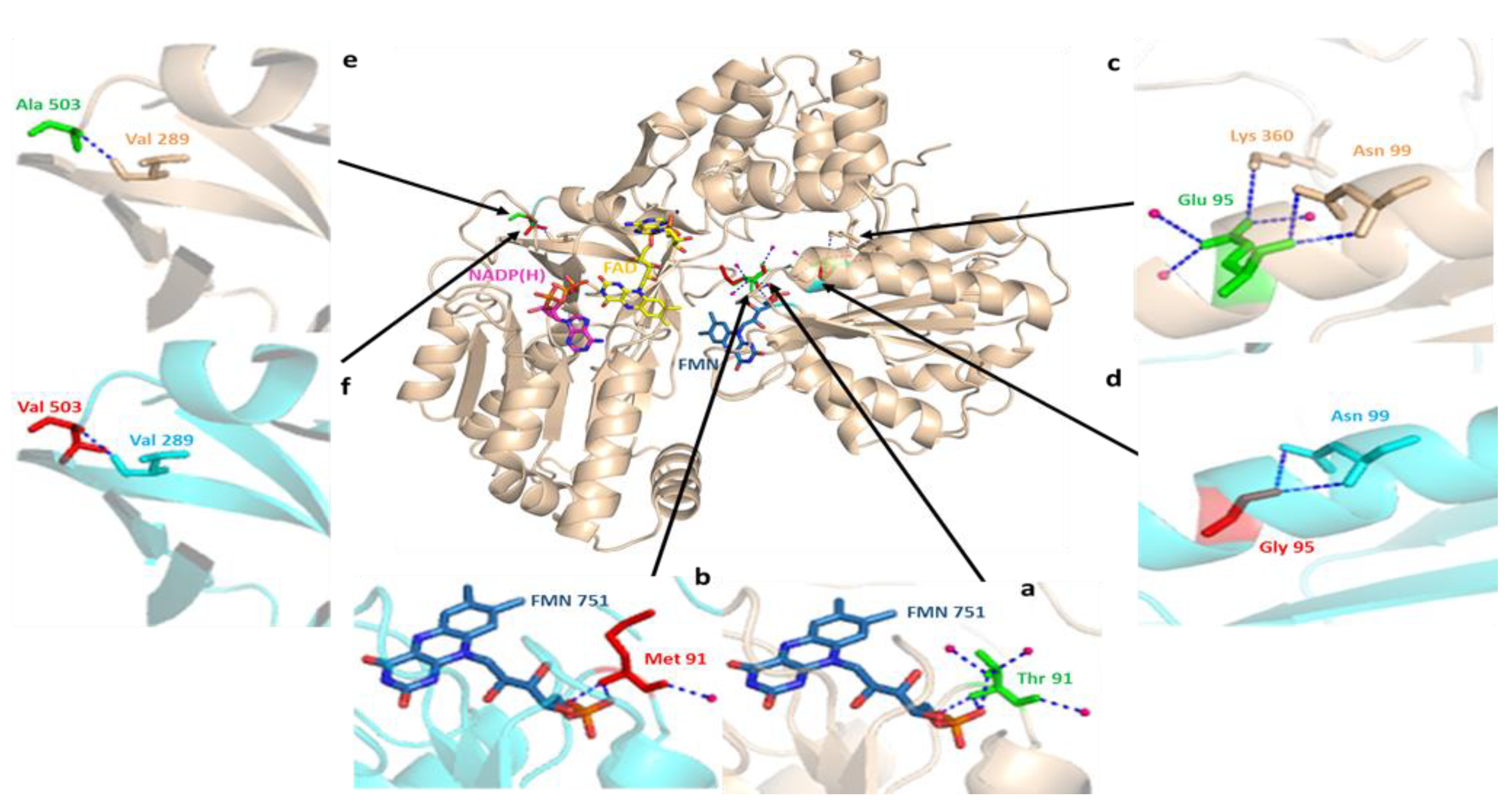 Genes 09 00514 g008