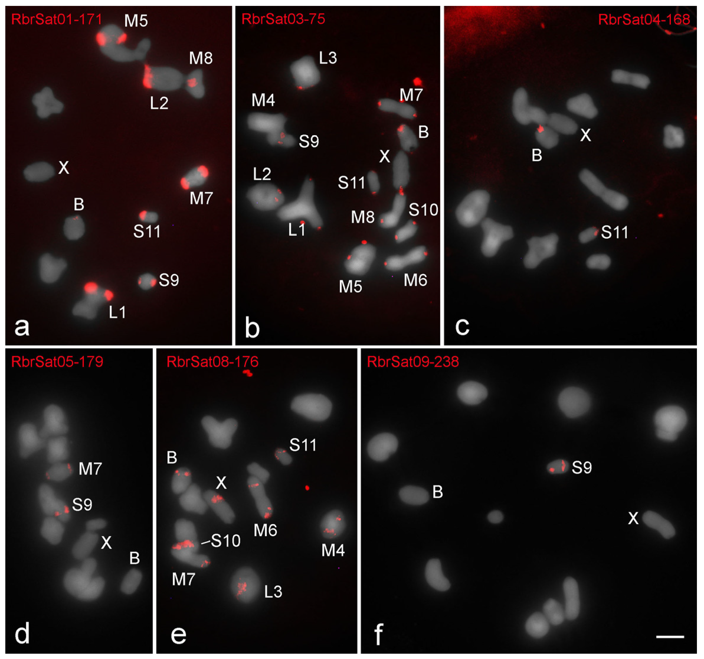 Genes 09 00523 g002