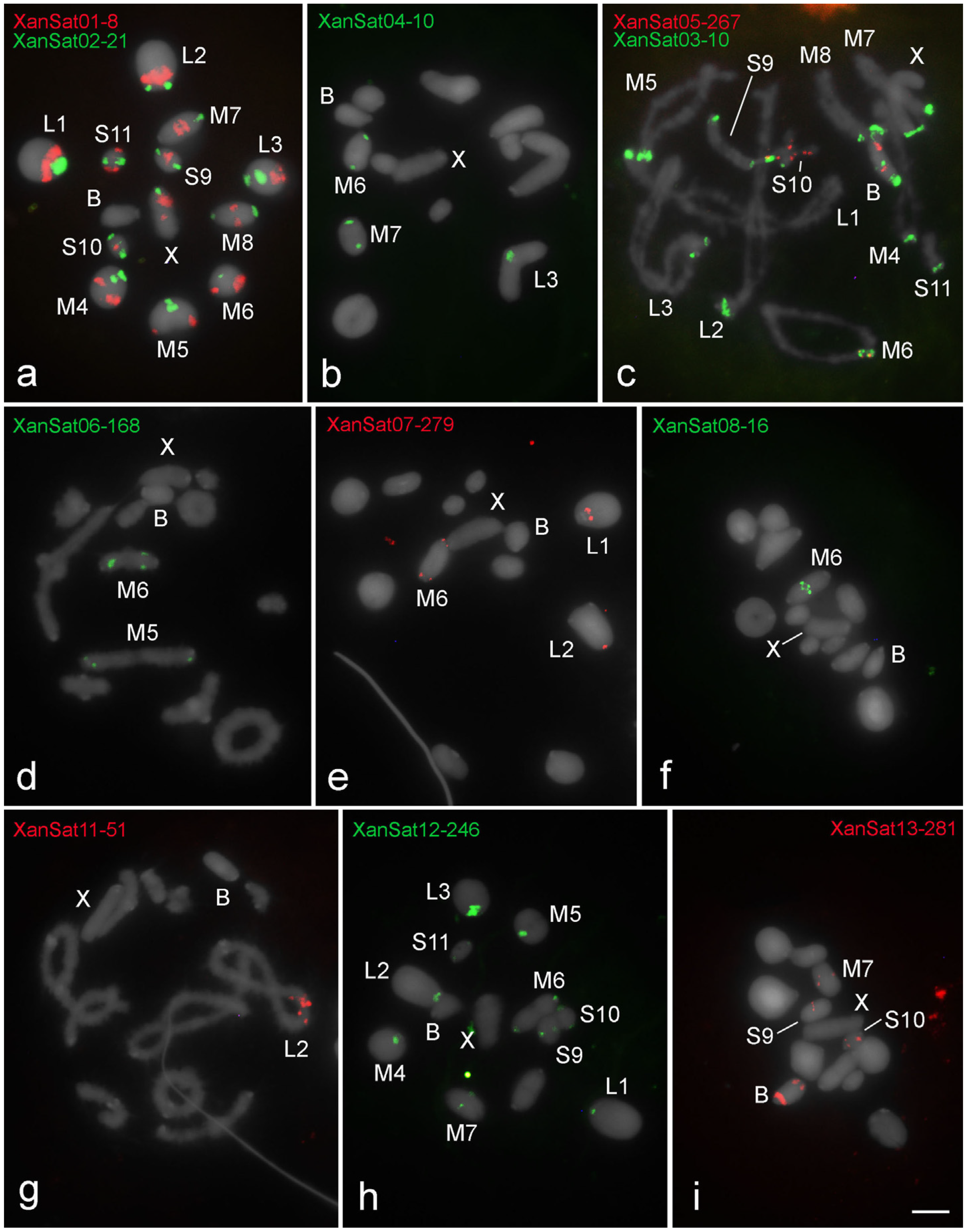 Genes 09 00523 g004