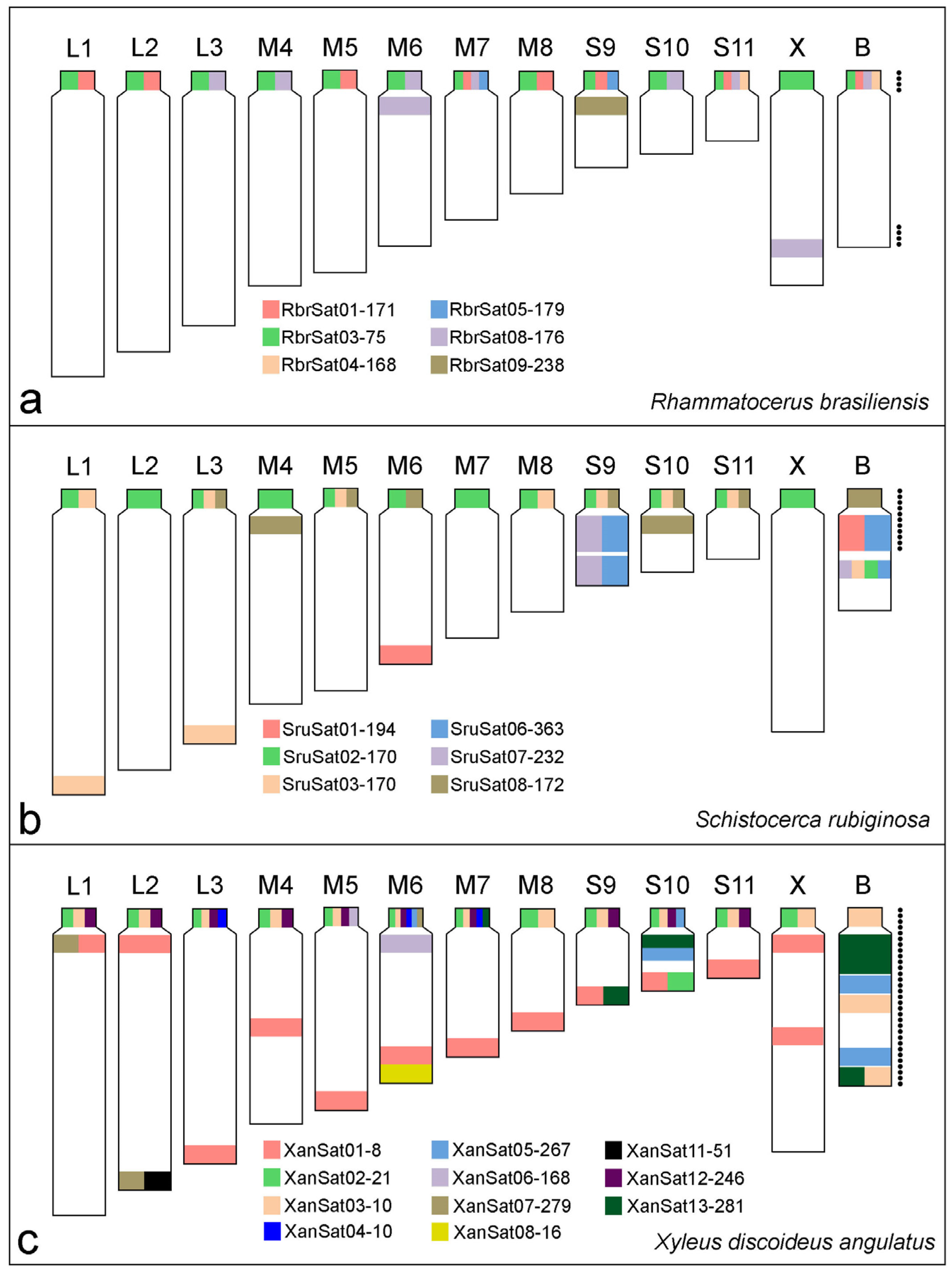 Genes 09 00523 g005