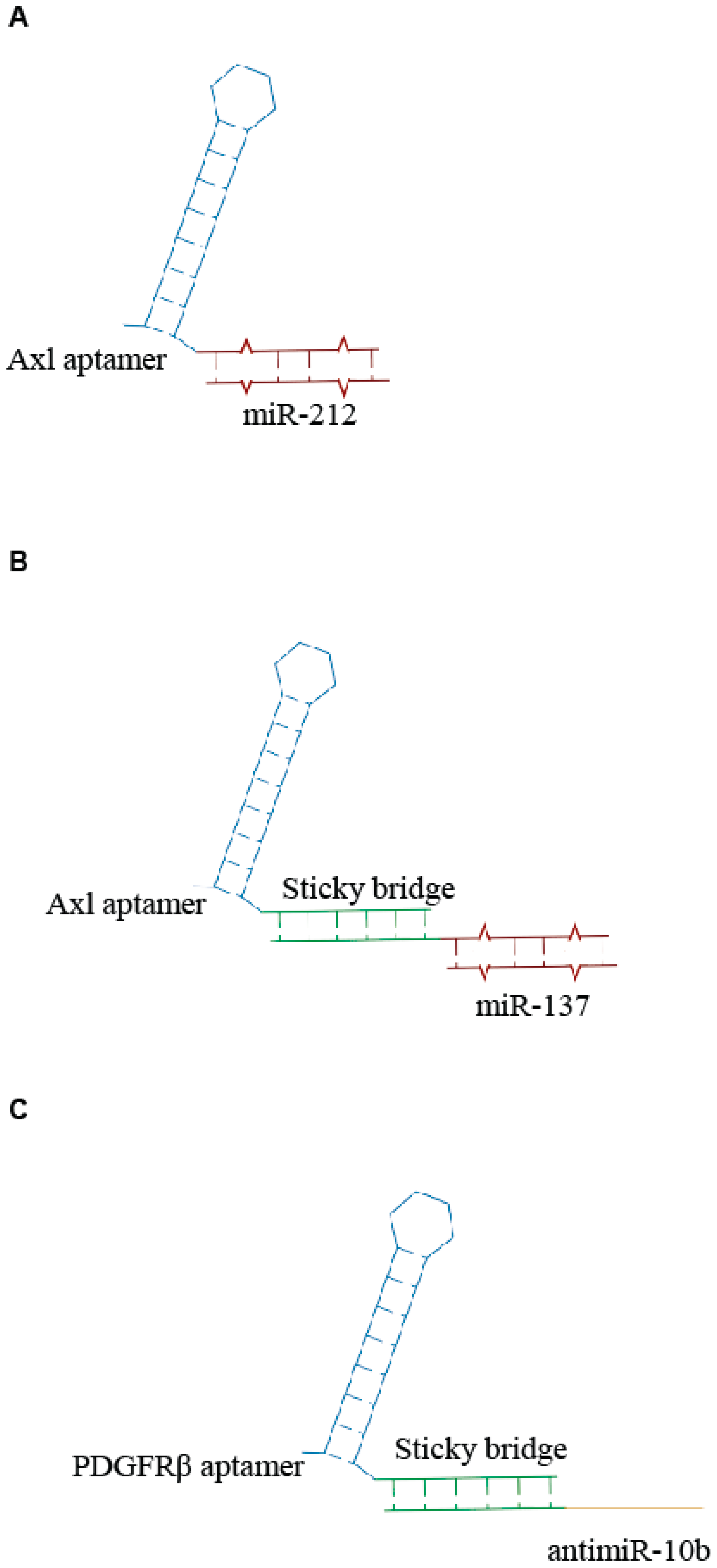 Genes 09 00529 g002 Genes 09 00529 g002