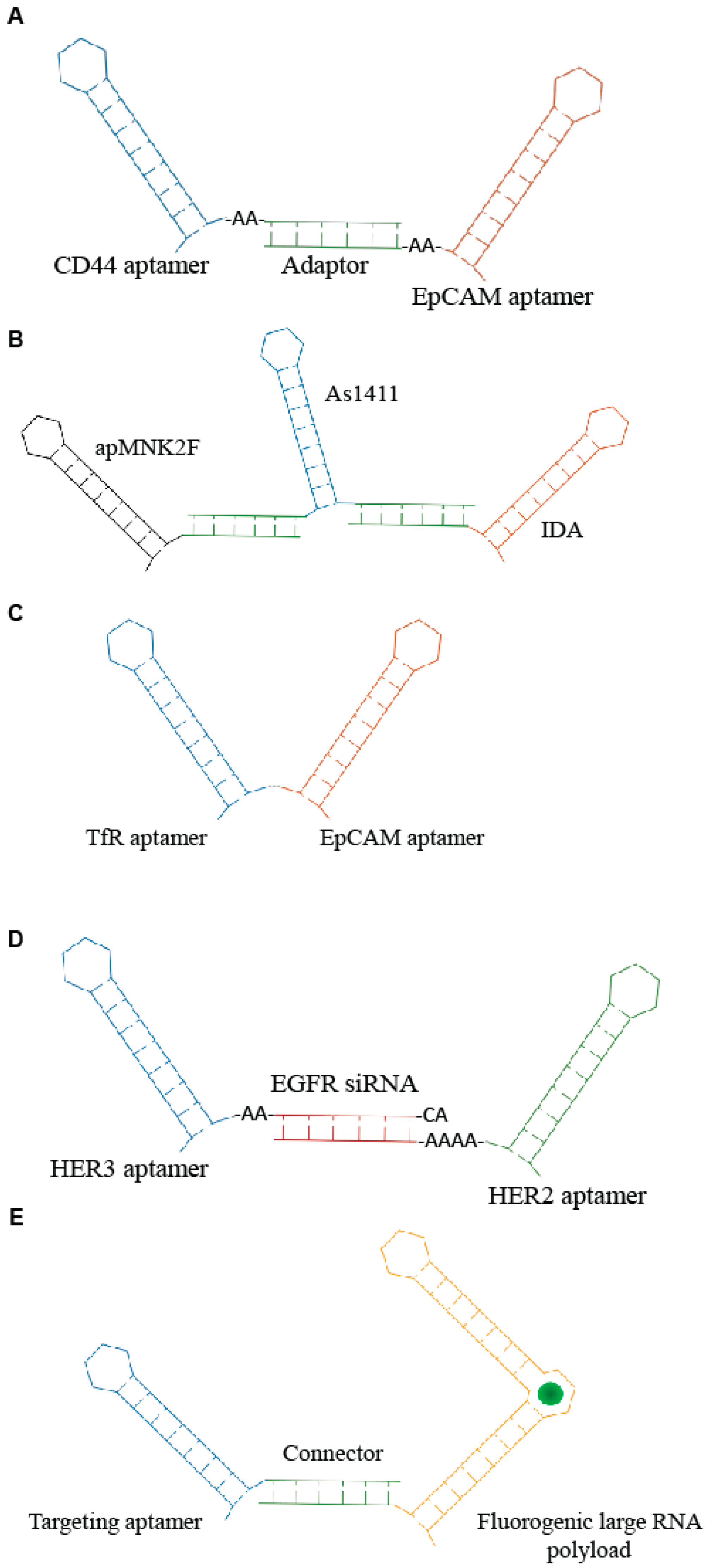 Genes 09 00529 g003 Genes 09 00529 g003
