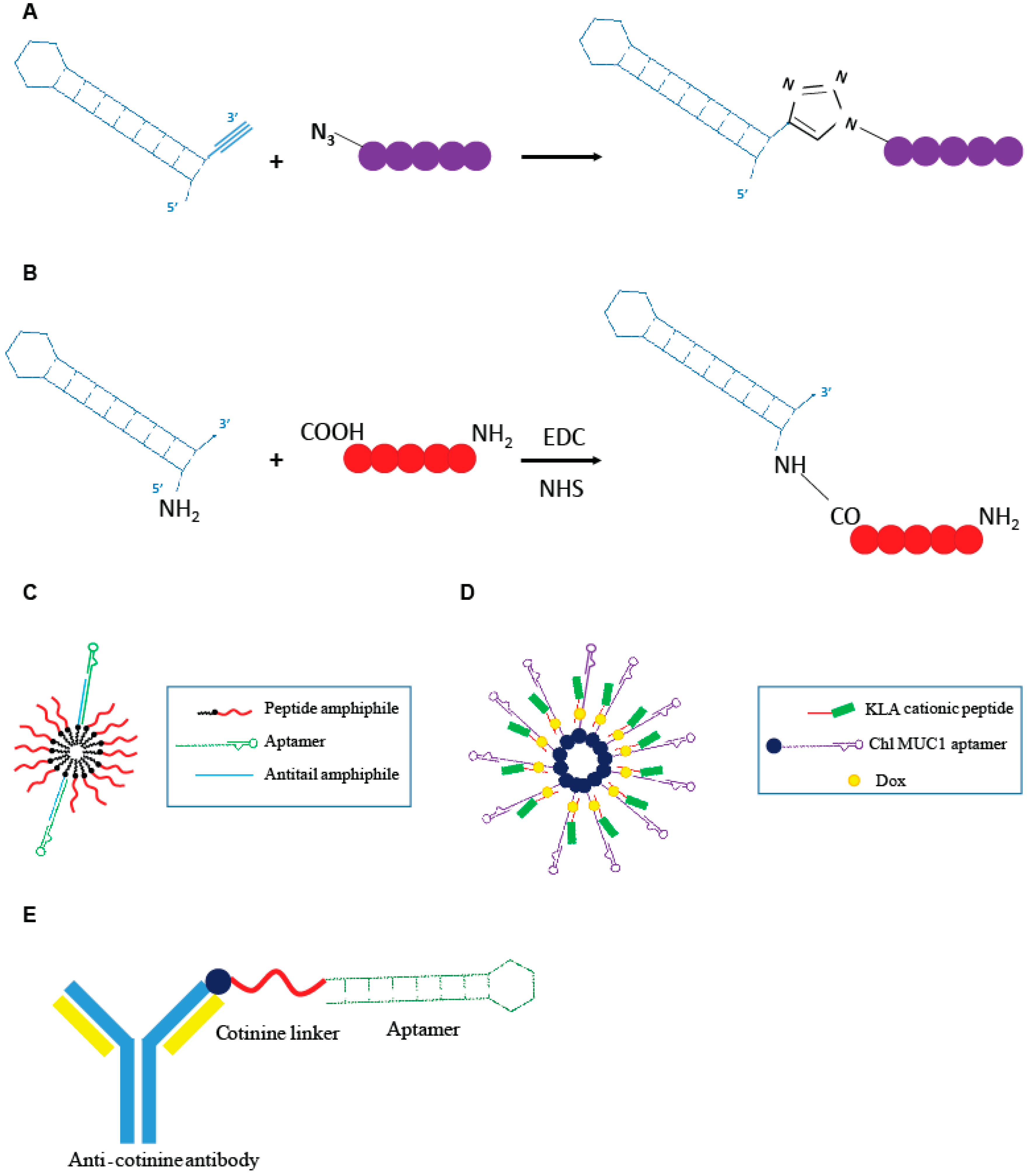 Genes 09 00529 g004 Genes 09 00529 g004