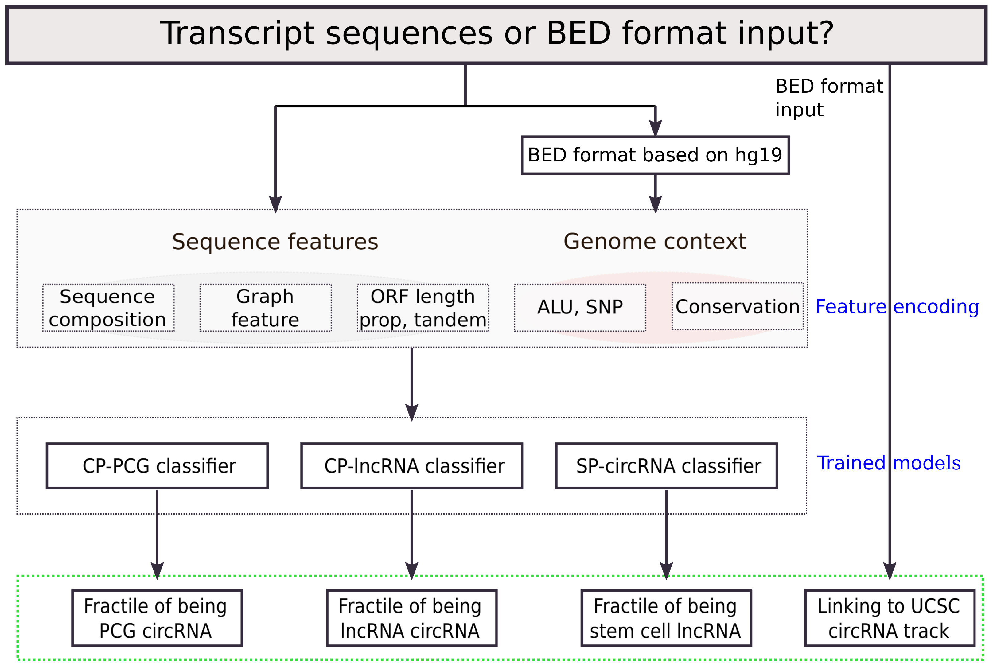 Genes 09 00536 g001