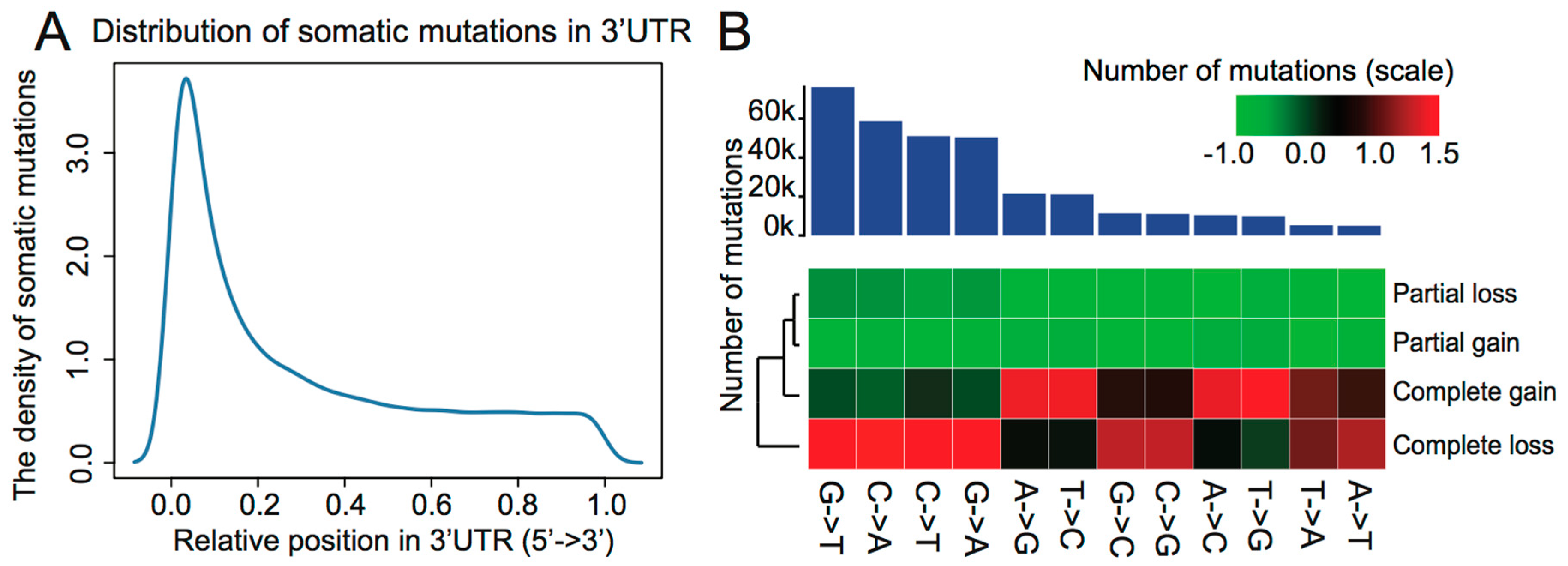 Genes 09 00545 g001
