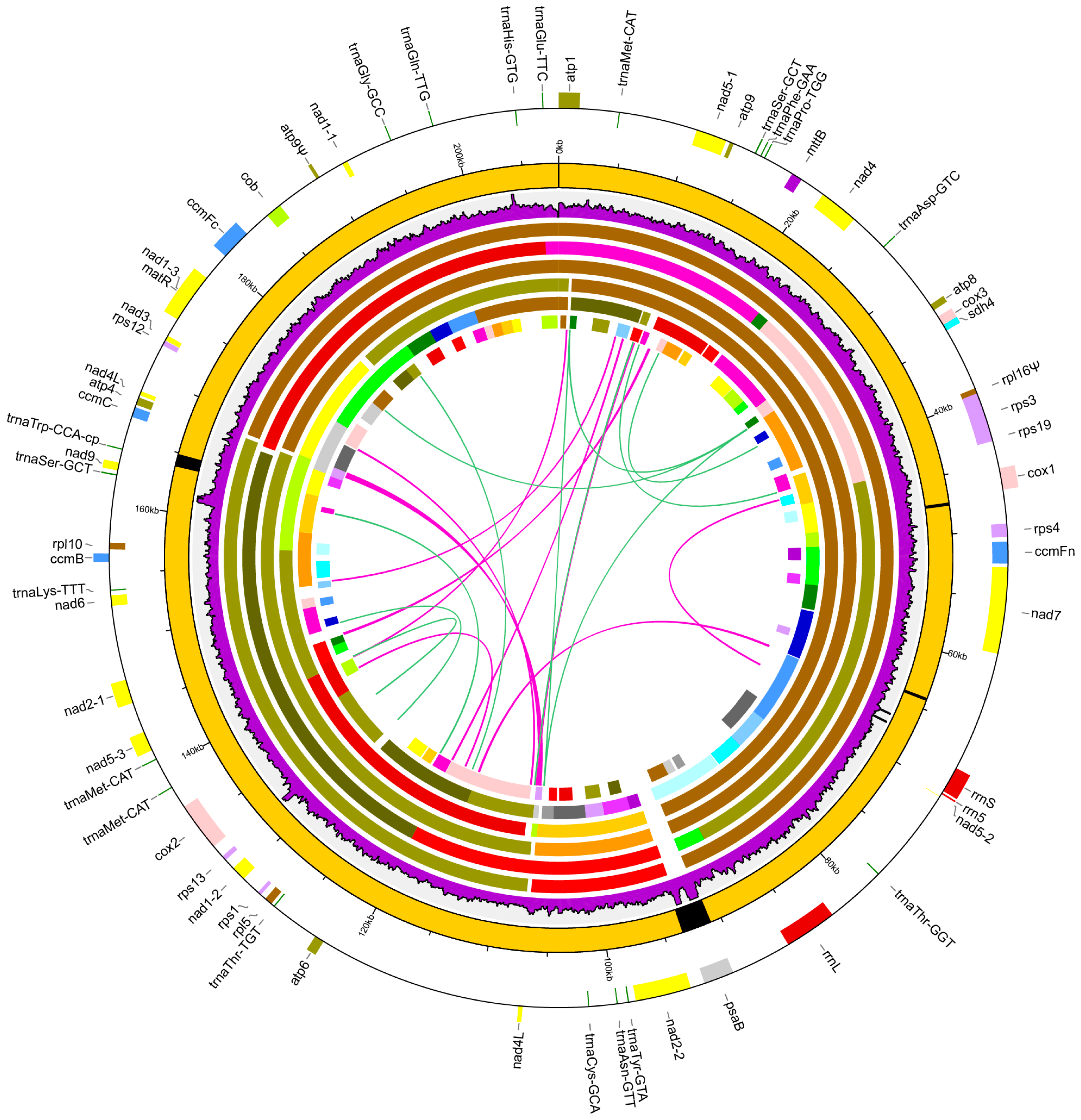 Genes 09 00547 g002 Genes 09 00547 g002