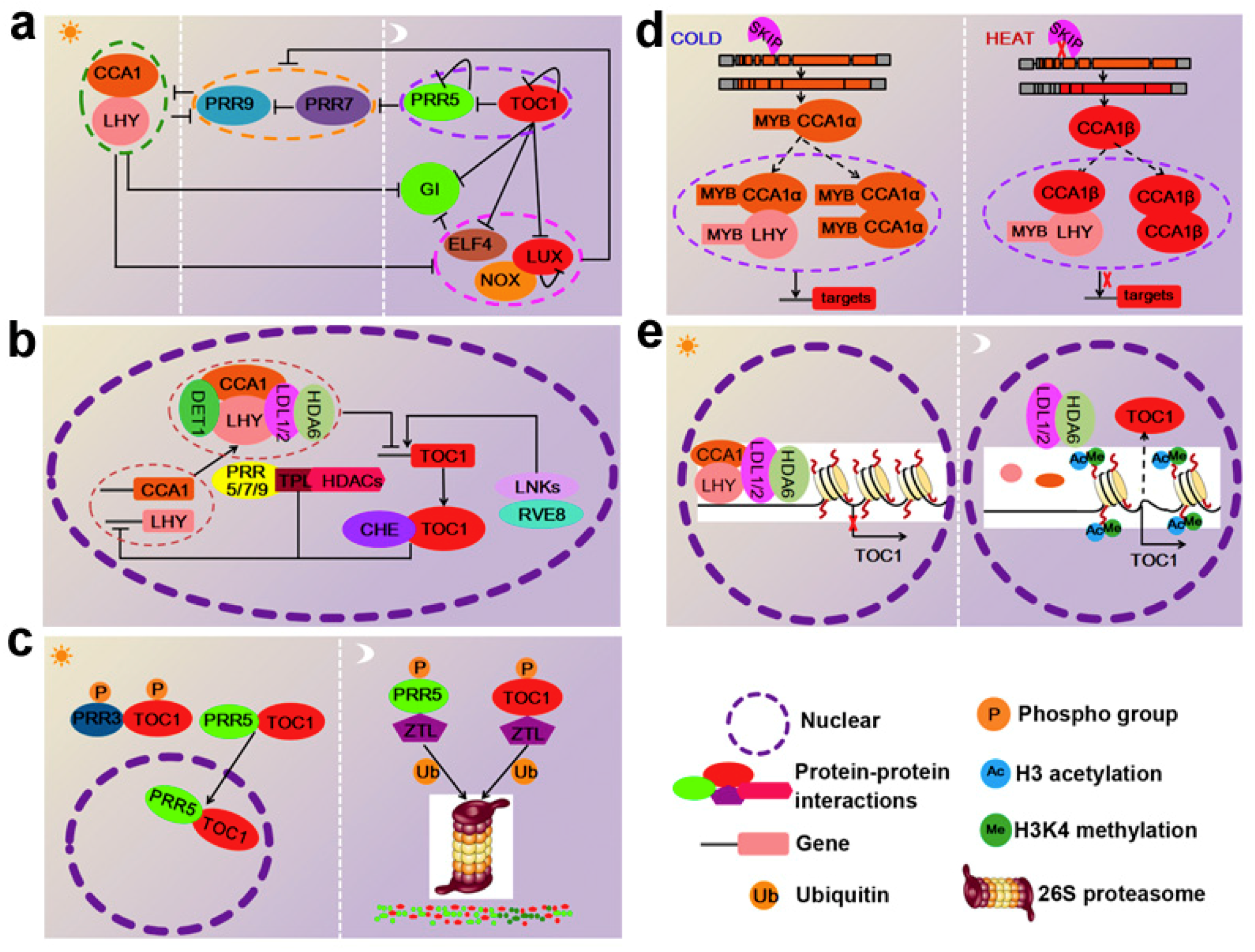 Genes 09 00561 g001 Genes 09 00561 g001