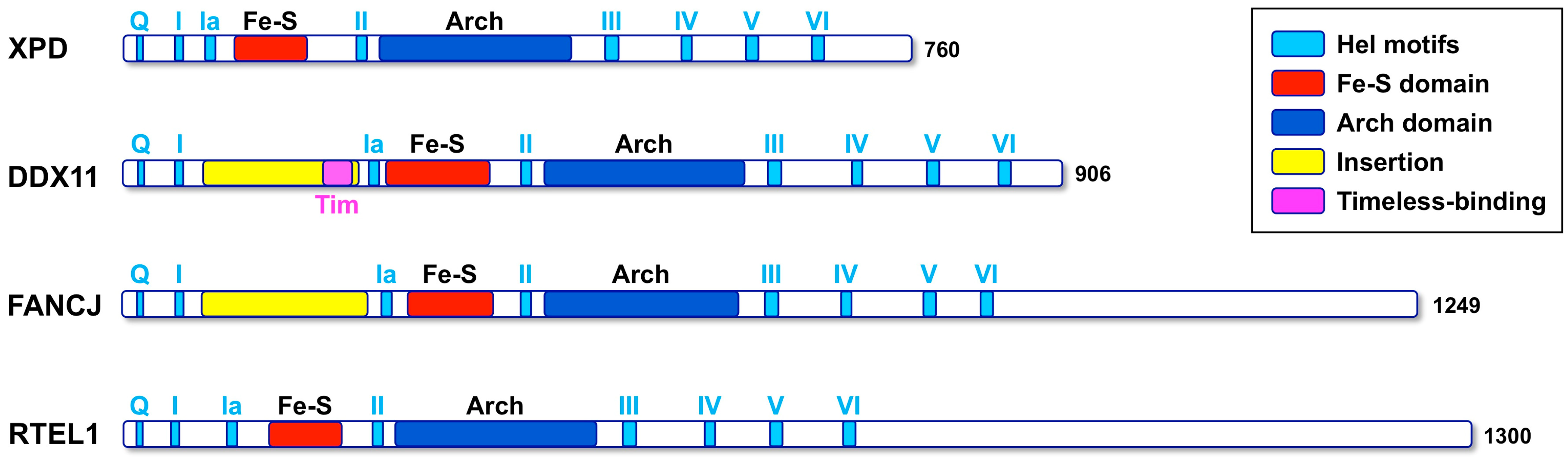 Genes 09 00564 g001
