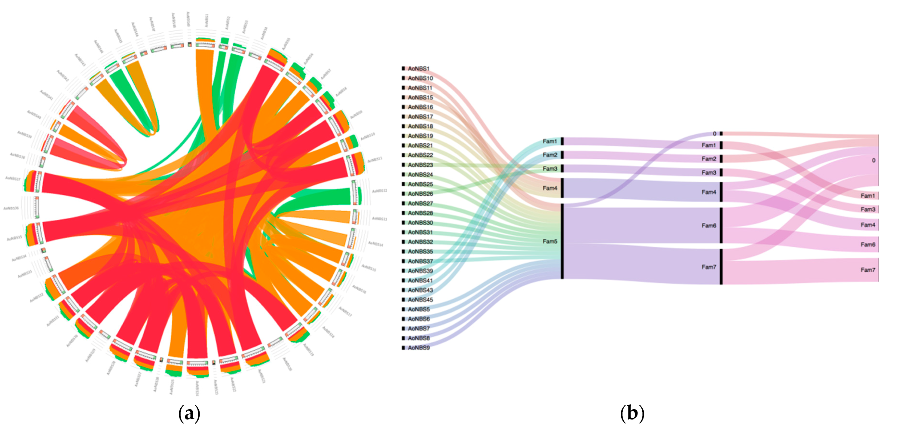 Genes 09 00568 g003