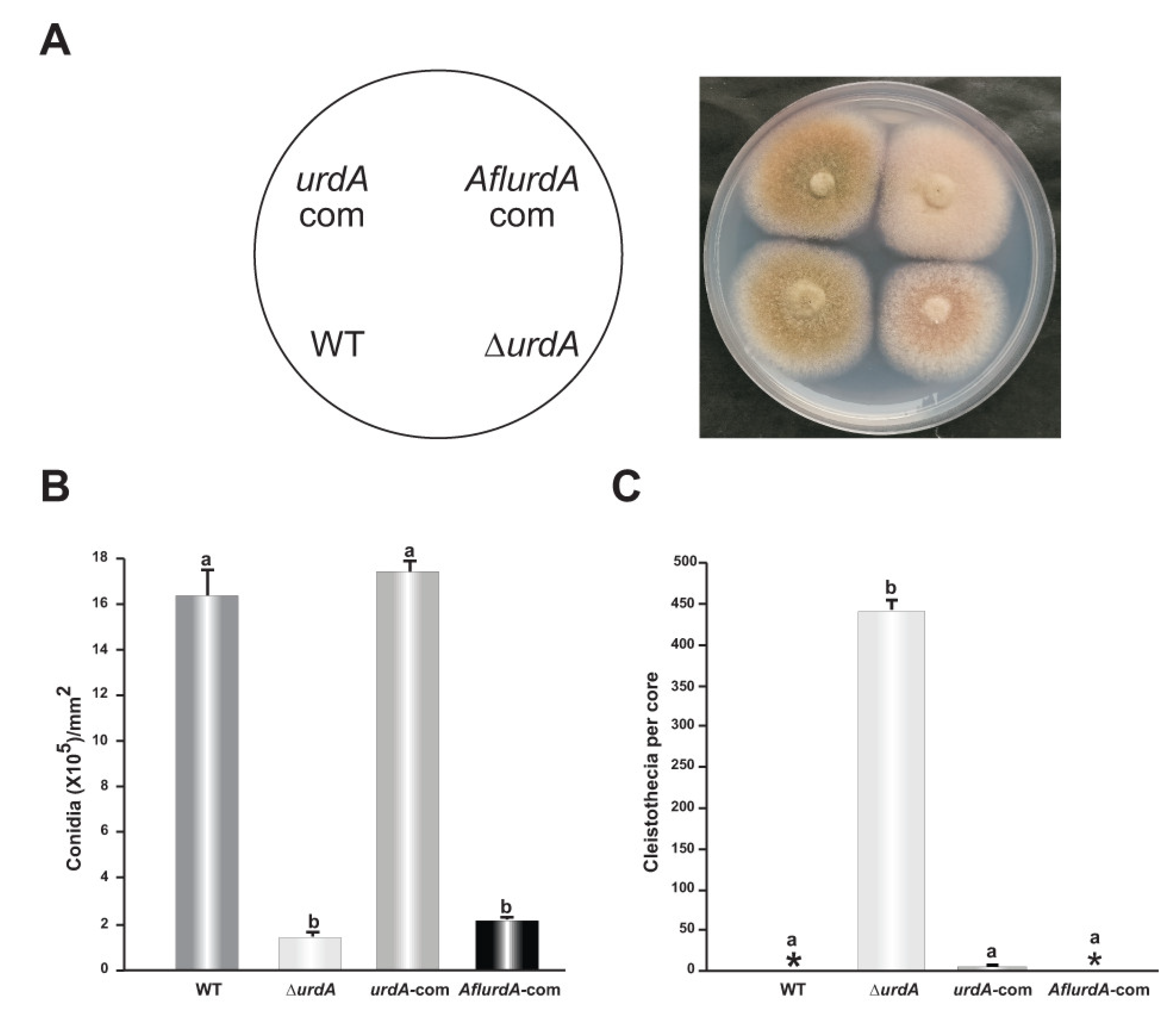 Genes 09 00570 g006 Genes 09 00570 g006