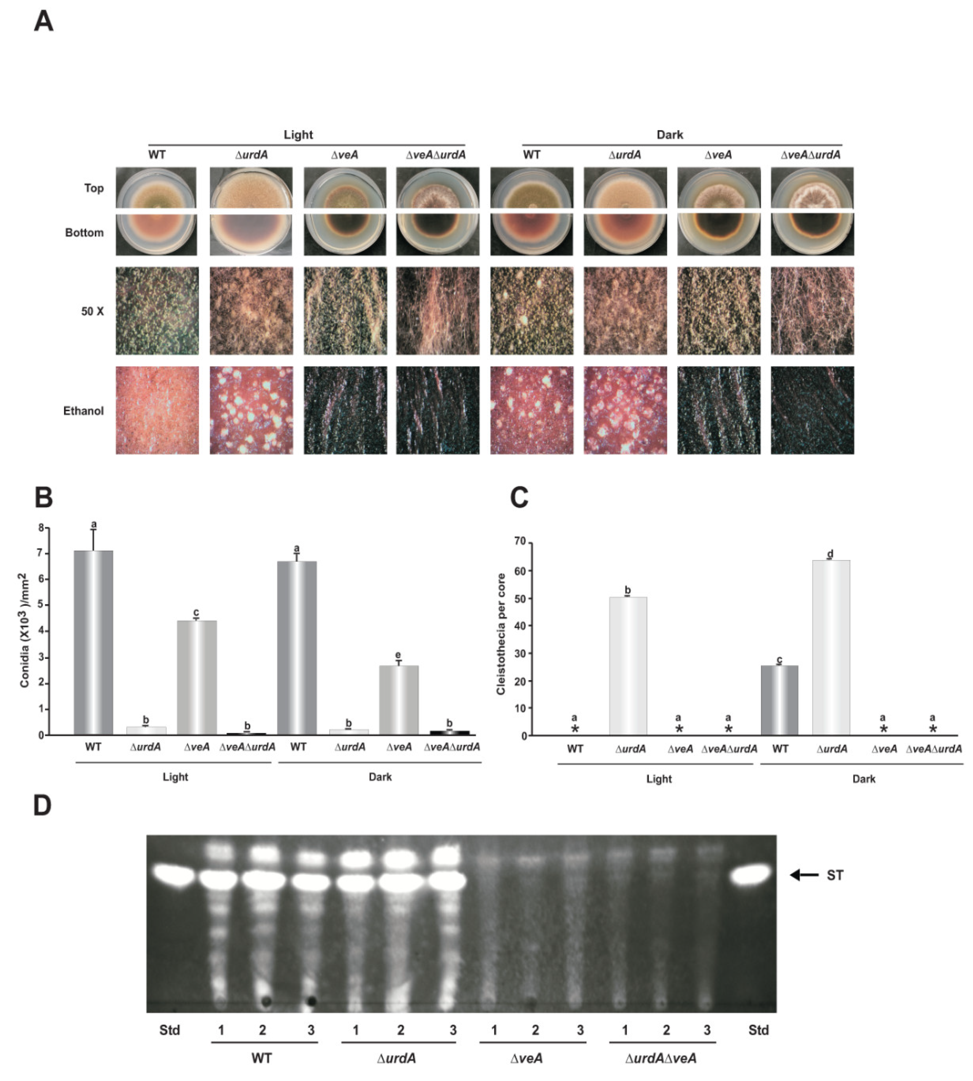 Genes 09 00570 g009 Genes 09 00570 g009