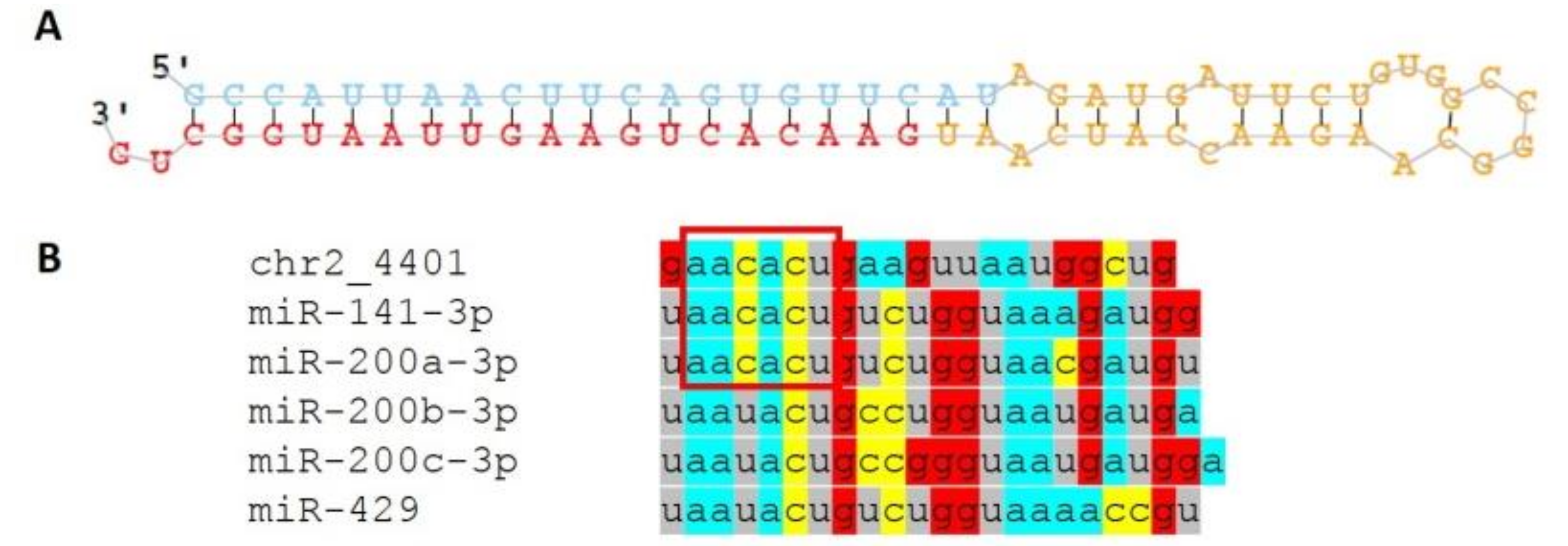 Genes 09 00574 g004 Genes 09 00574 g004
