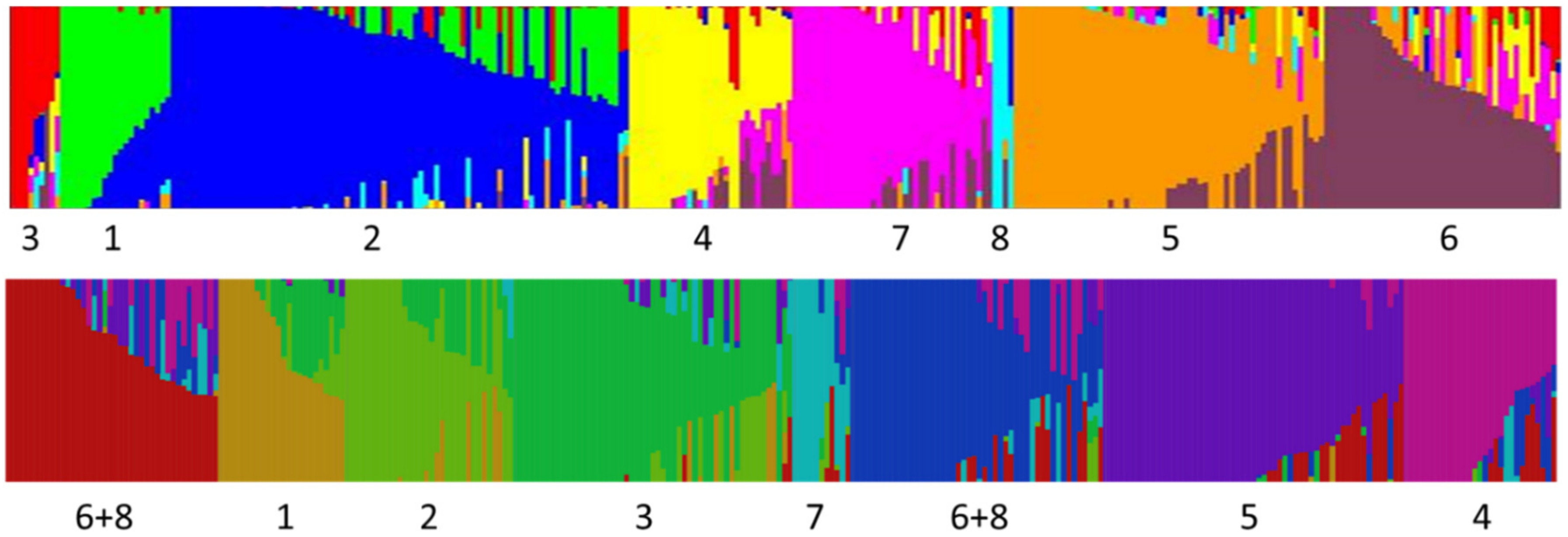 Genes 09 00587 g006 Genes 09 00587 g006