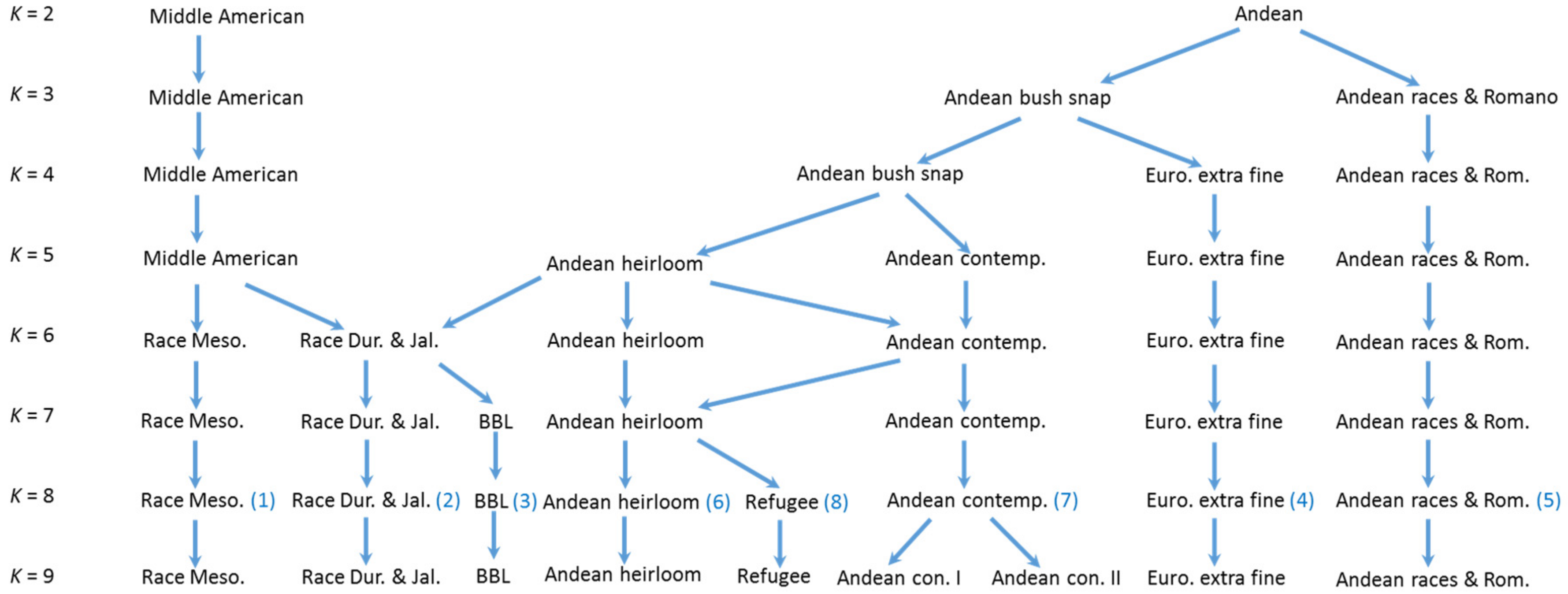 Genes 09 00587 g007 Genes 09 00587 g007