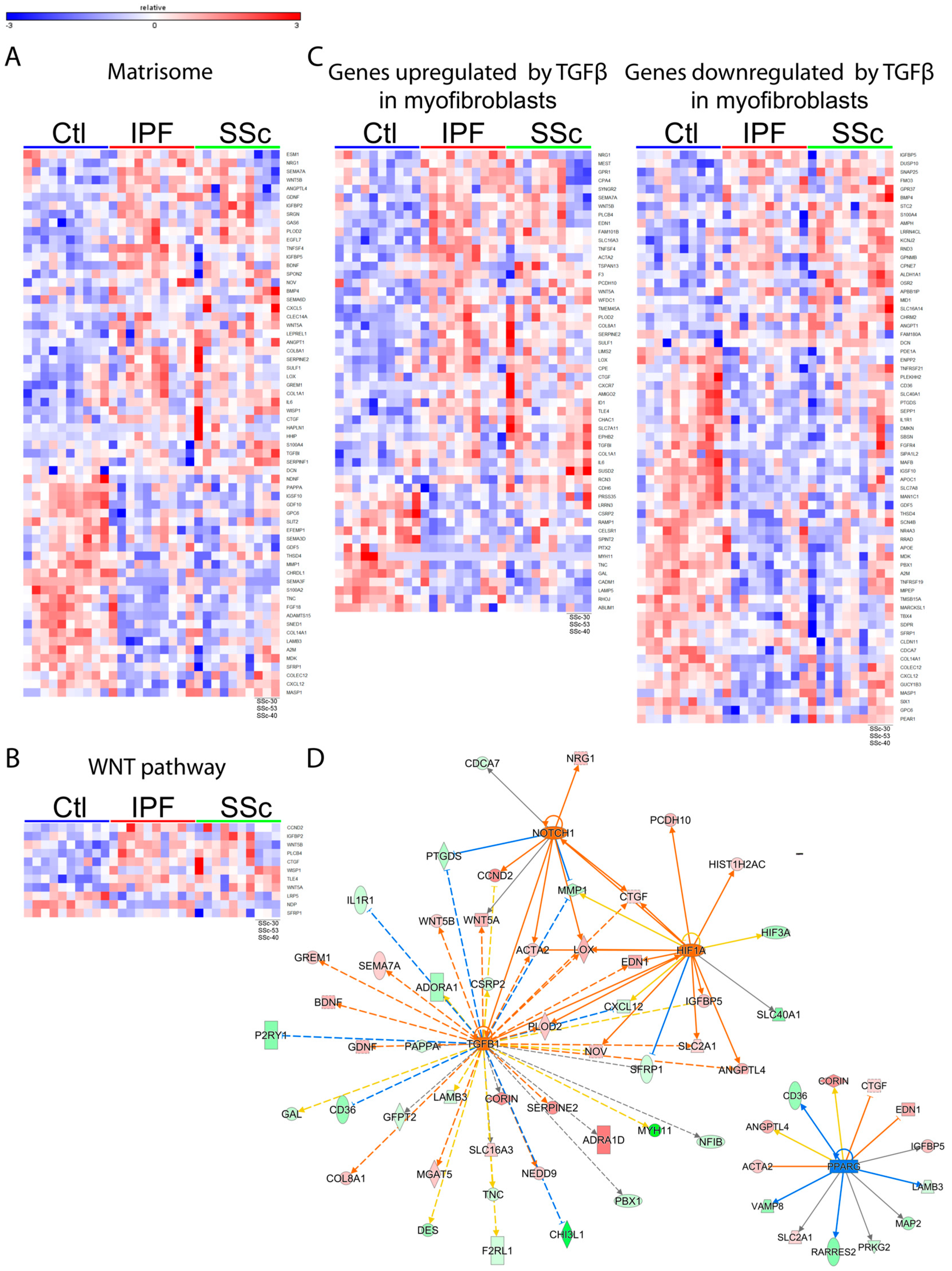 Genes 09 00588 g002 Genes 09 00588 g002