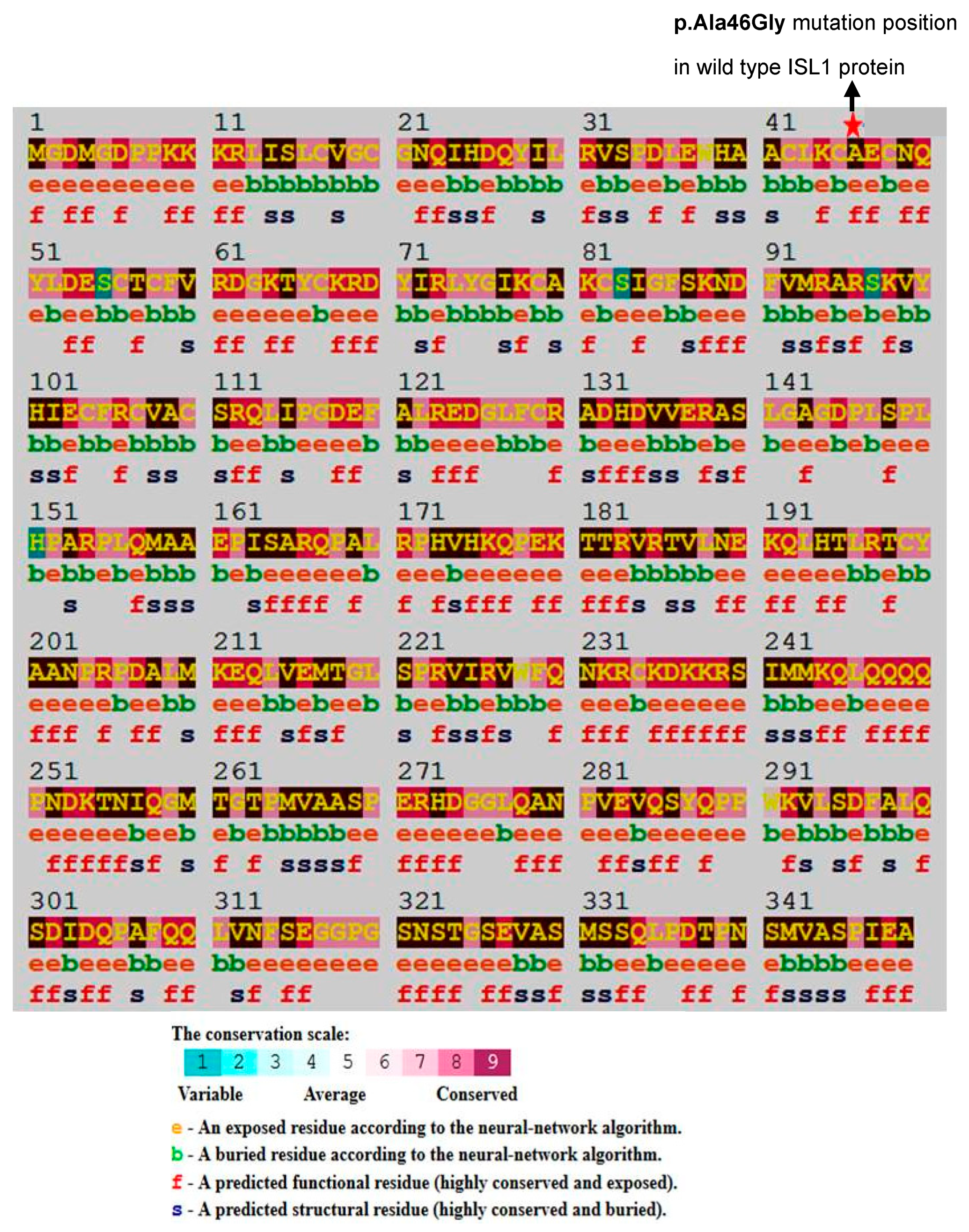 Genes 09 00609 g002 Genes 09 00609 g002