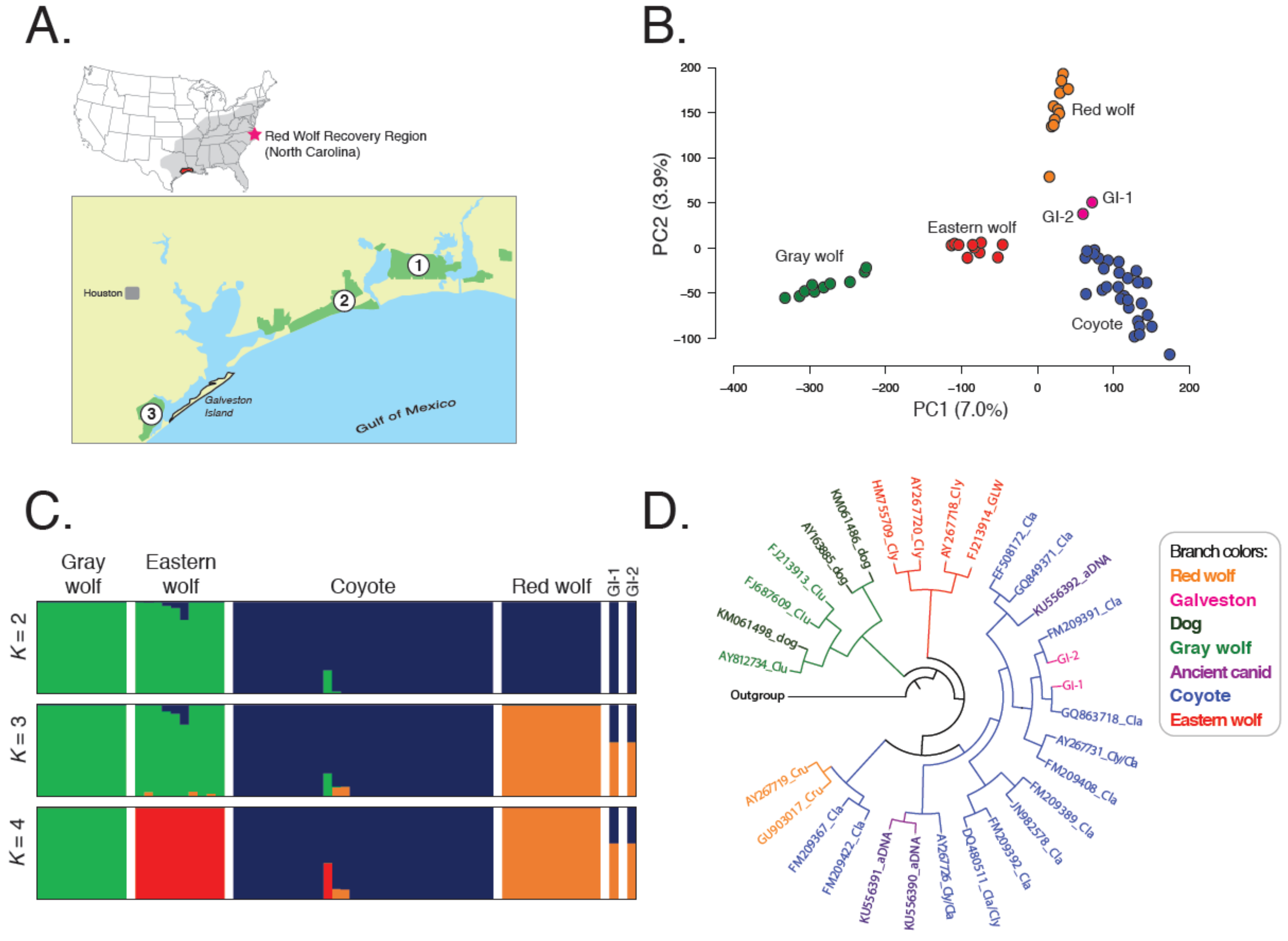 Genes 09 00618 g001 Genes 09 00618 g001