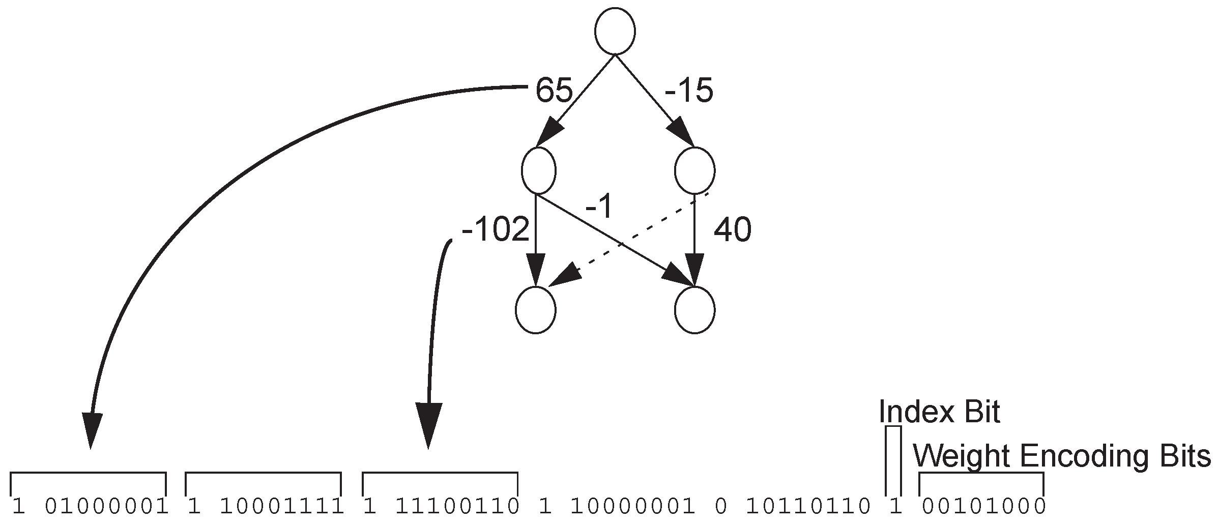 Genes 09 00626 g001 Genes 09 00626 g001