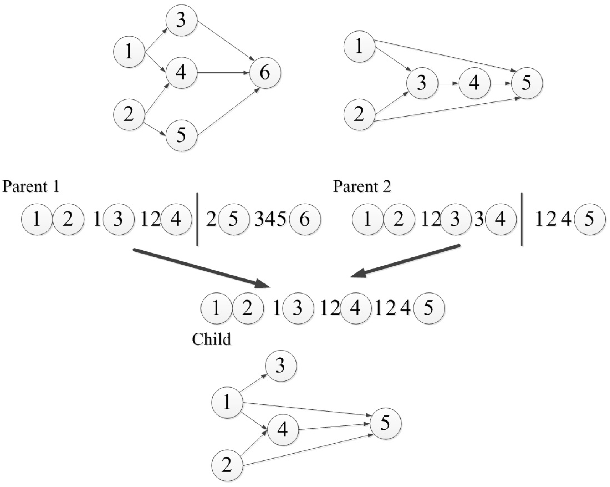 Genes 09 00626 g002 Genes 09 00626 g002