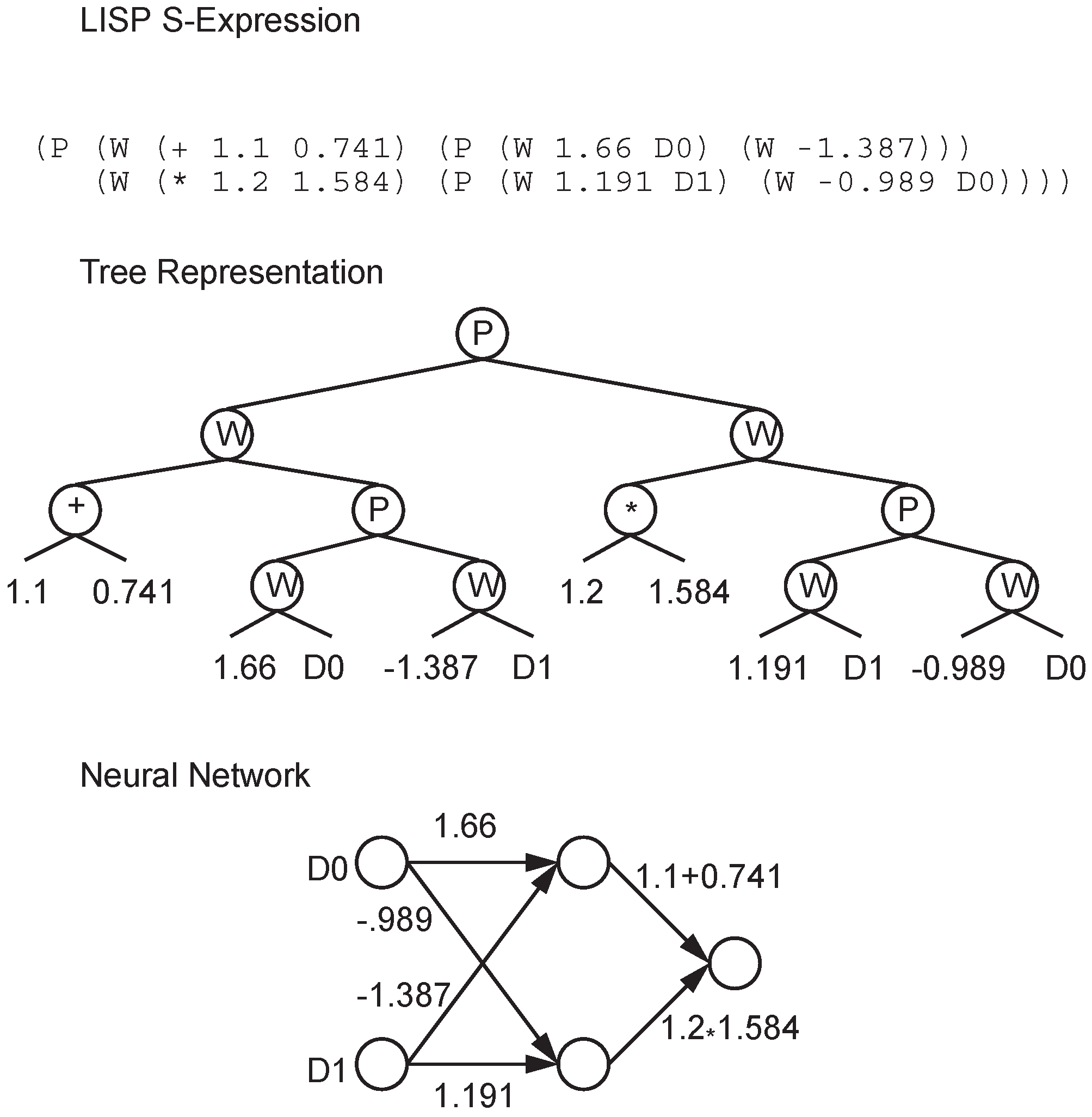 Genes 09 00626 g003 Genes 09 00626 g003