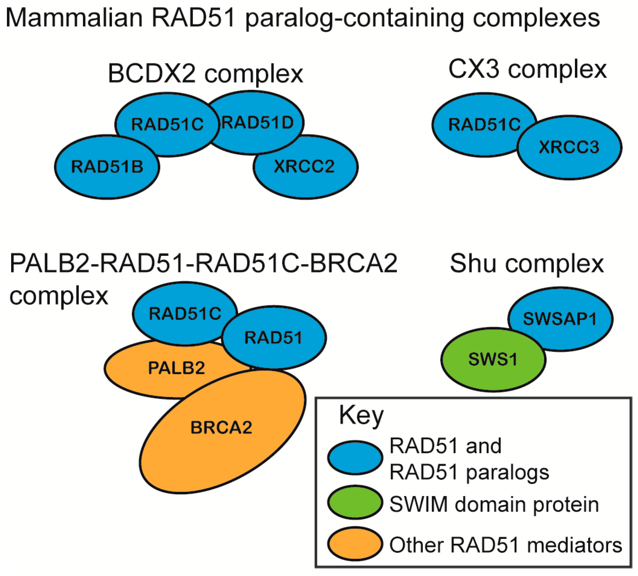 Genes 09 00629 g002
