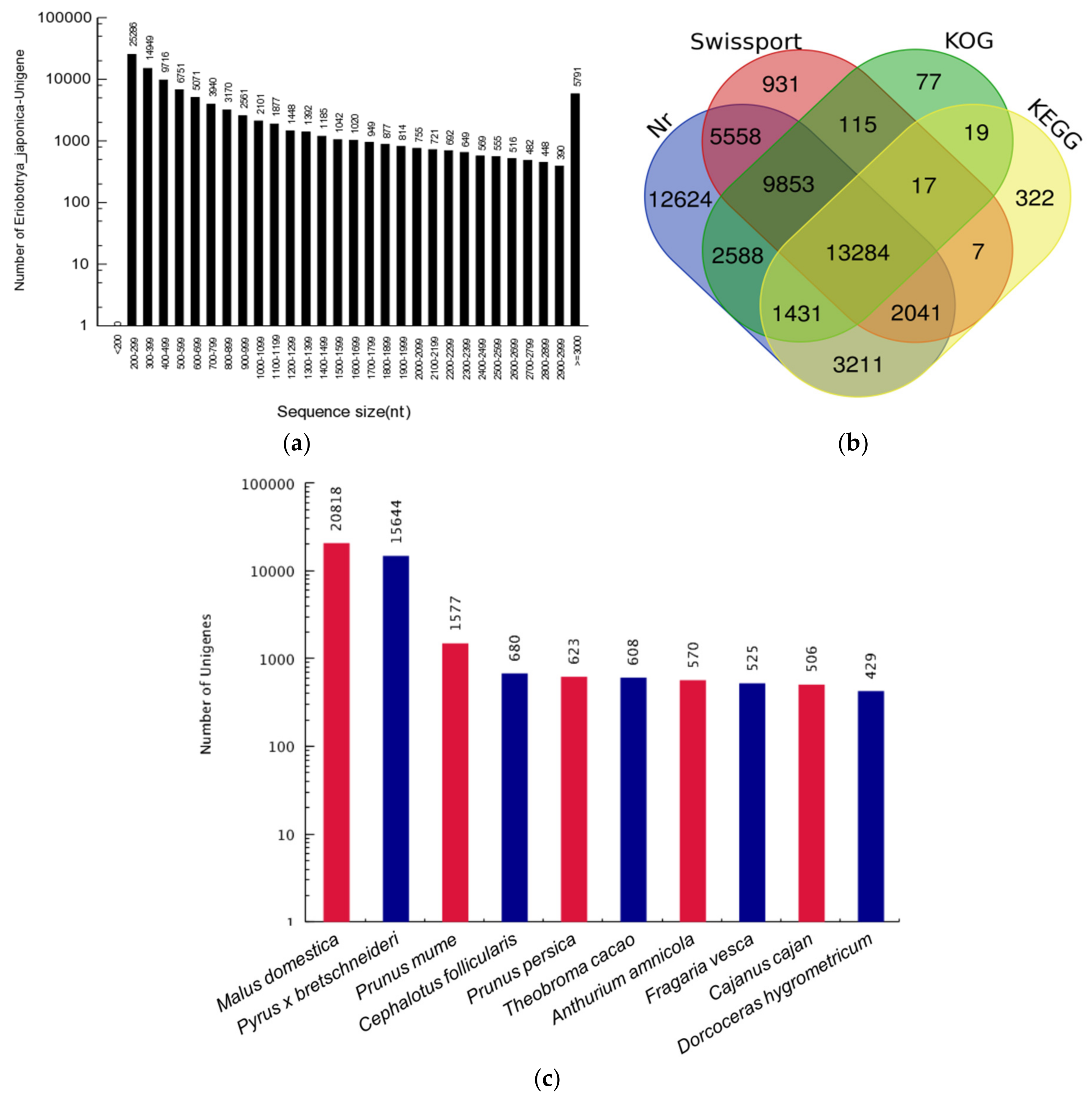 Genes 09 00639 g001a