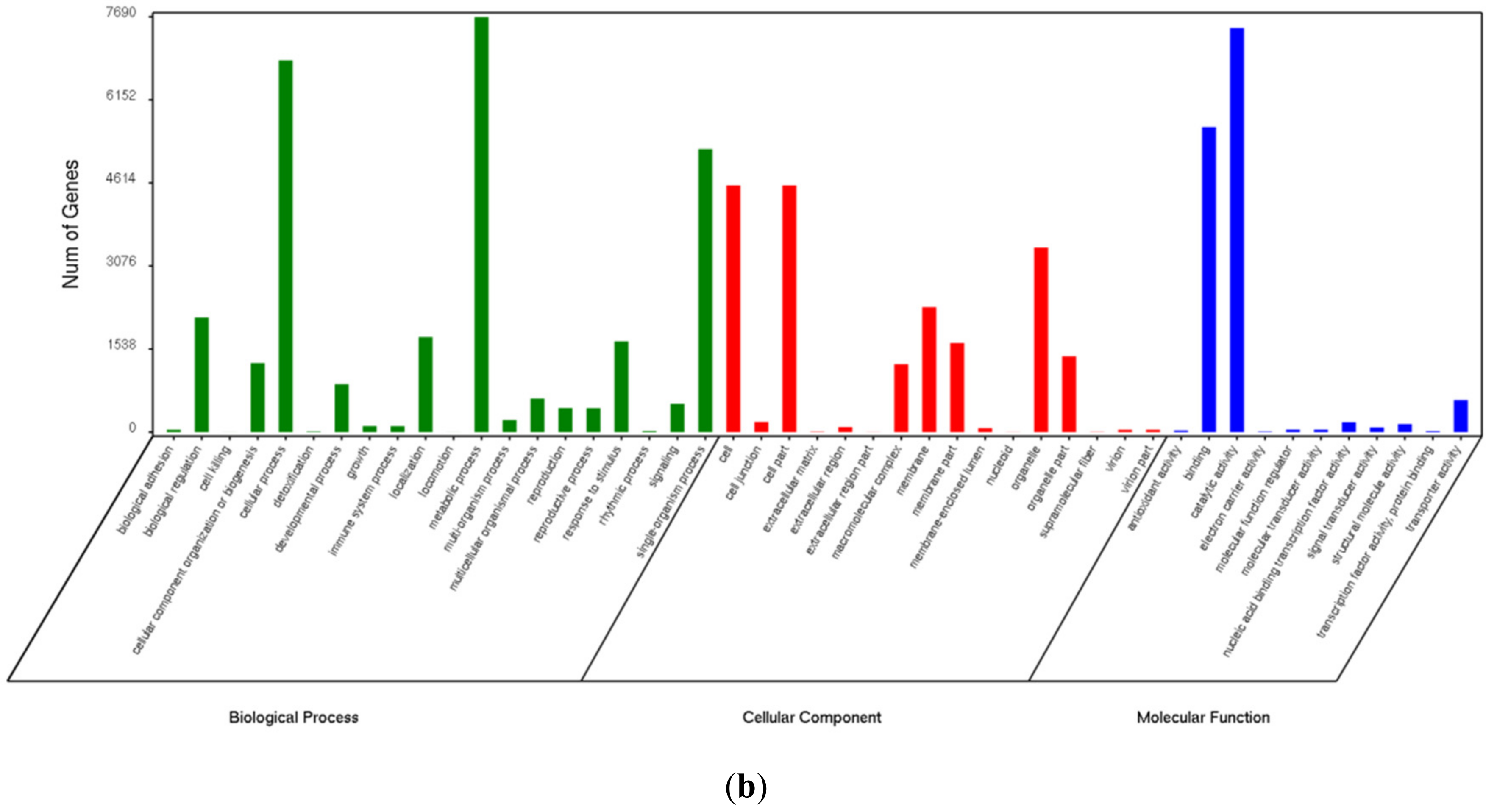 Genes 09 00639 g002b