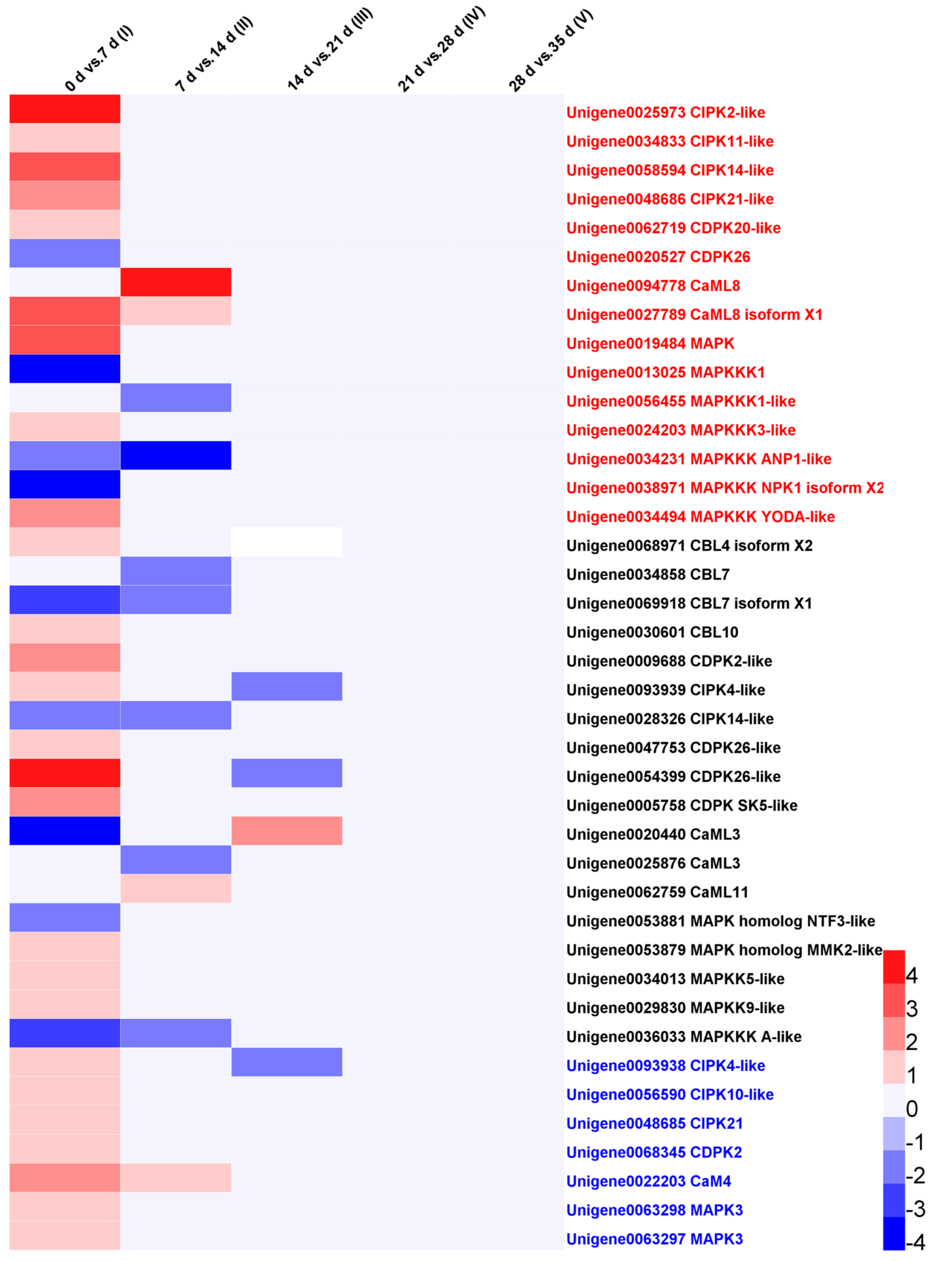 Genes 09 00639 g005