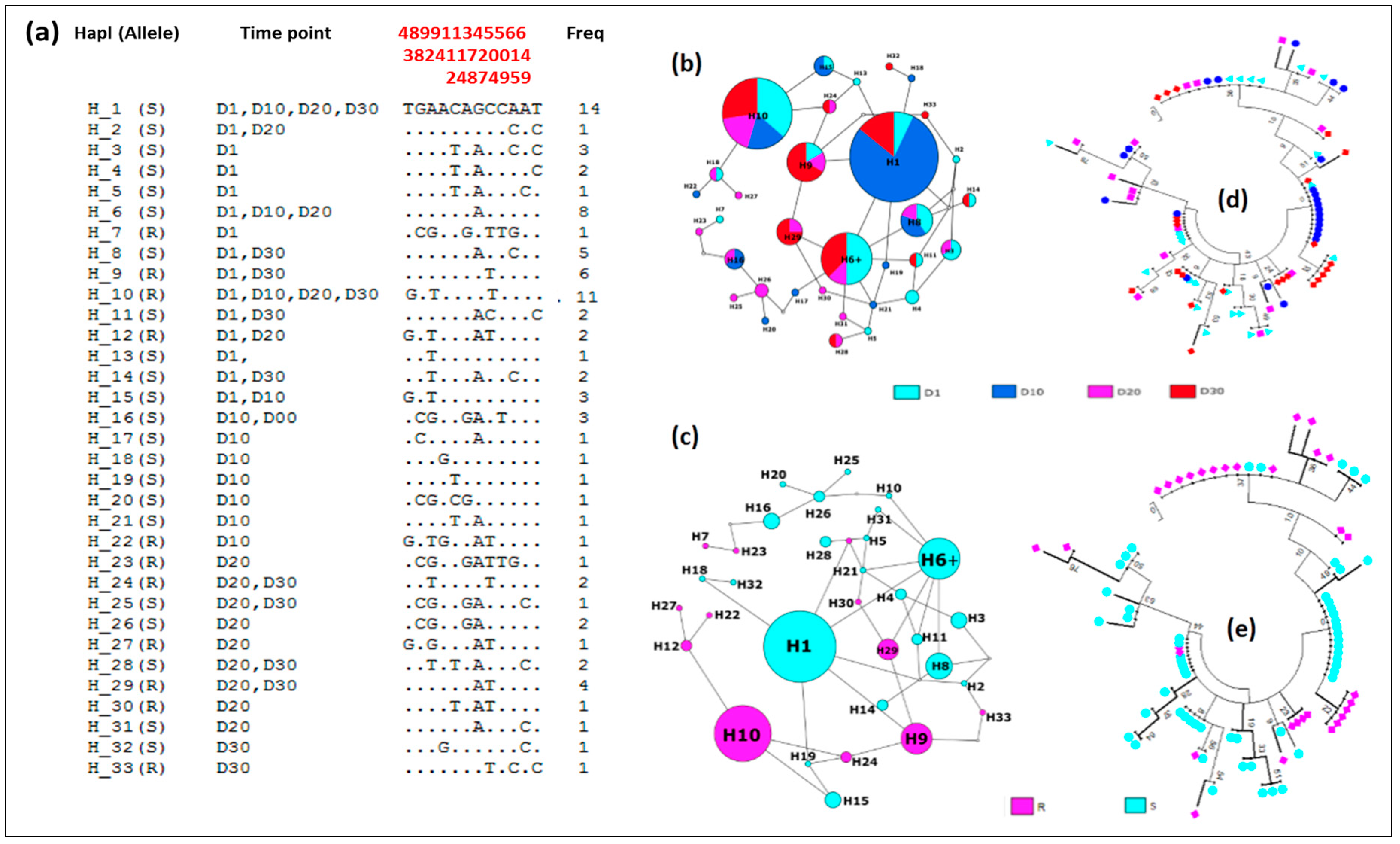 Genes 09 00645 g004 Genes 09 00645 g004
