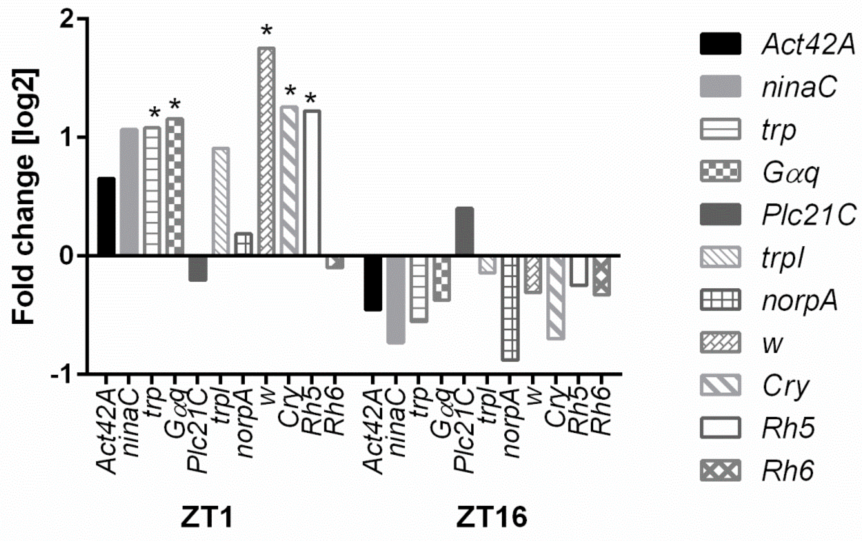 Genes 10 00006 g001