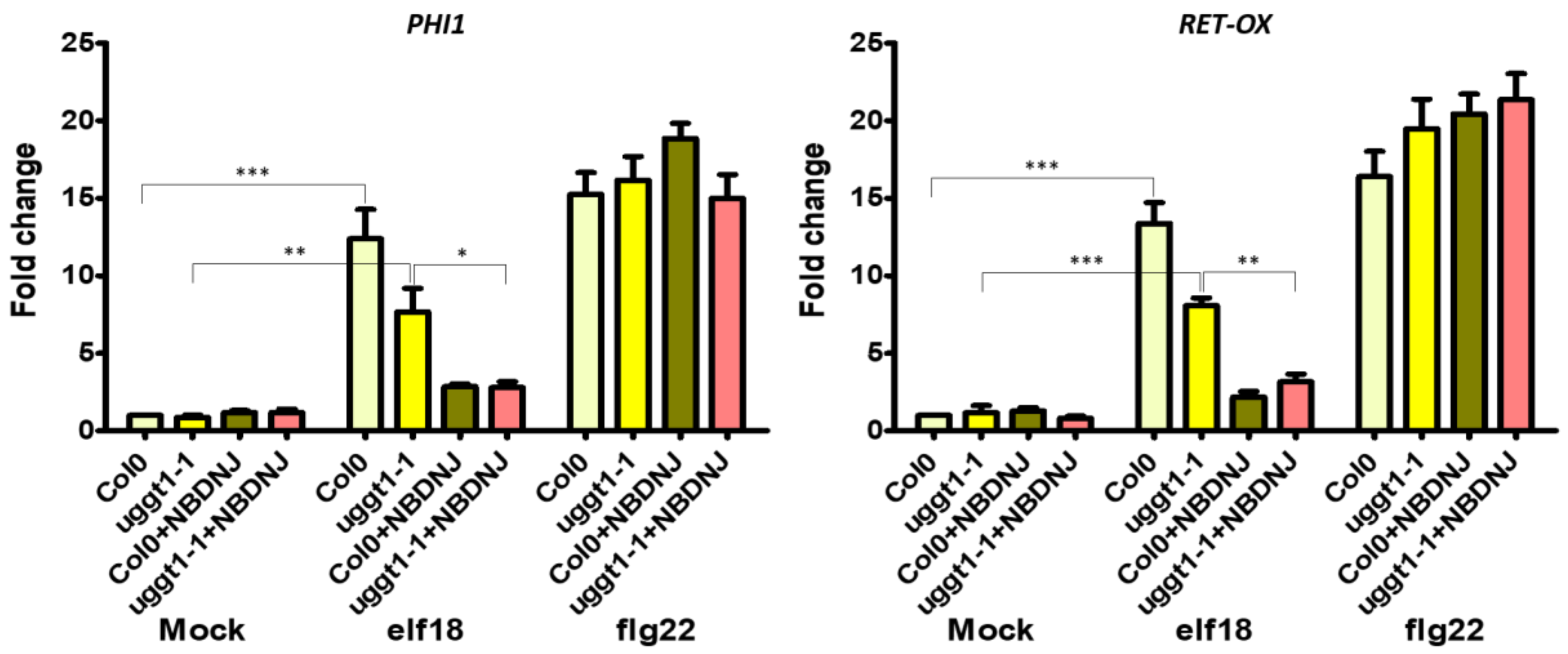Genes 10 00015 g005