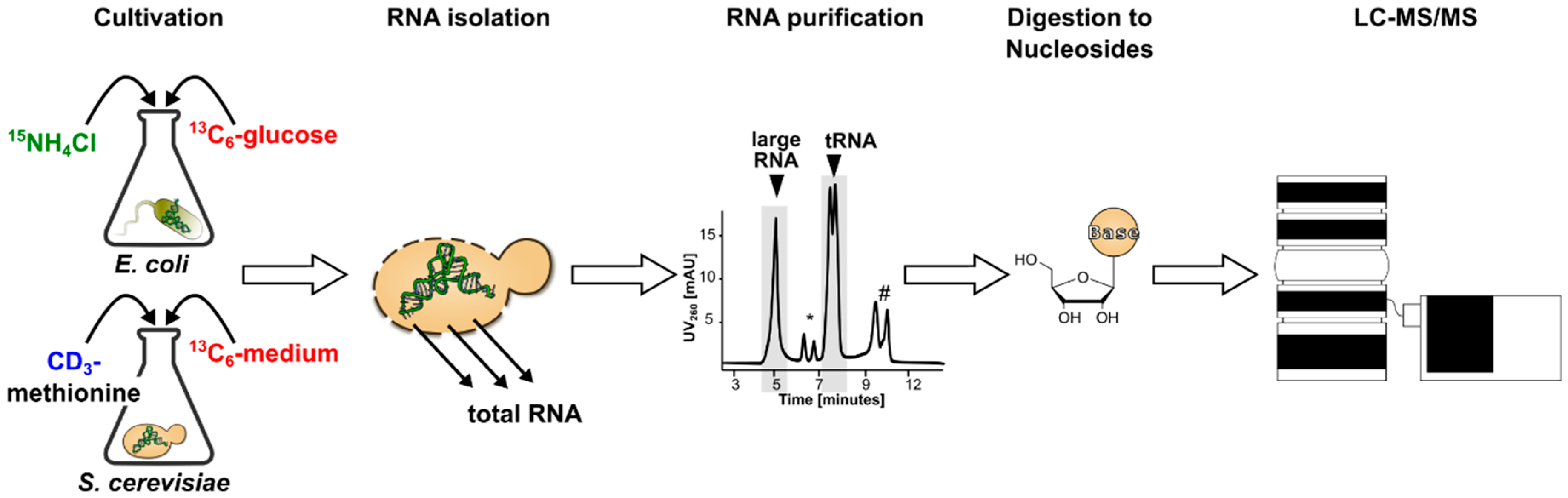 Genes 10 00026 g001 Genes 10 00026 g001