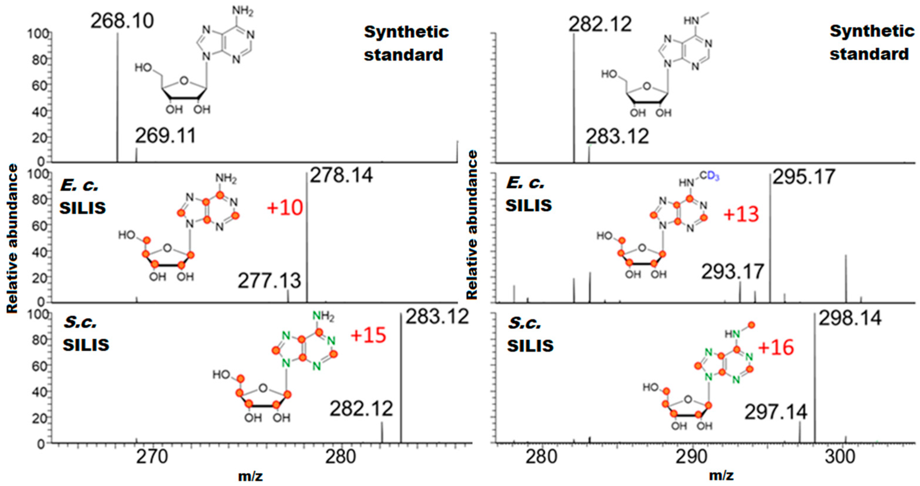 Genes 10 00026 g002 Genes 10 00026 g002