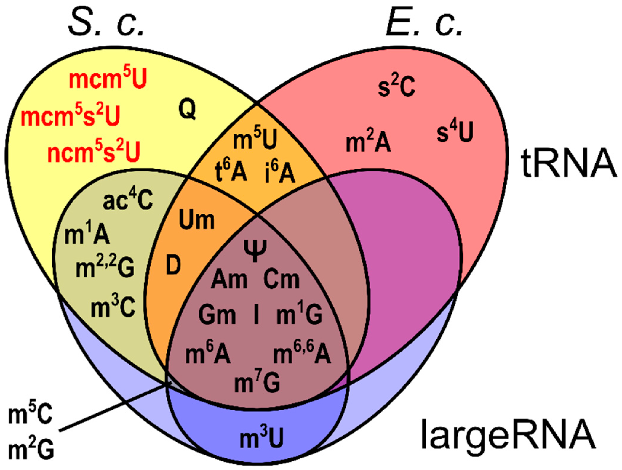 Genes 10 00026 g003 Genes 10 00026 g003