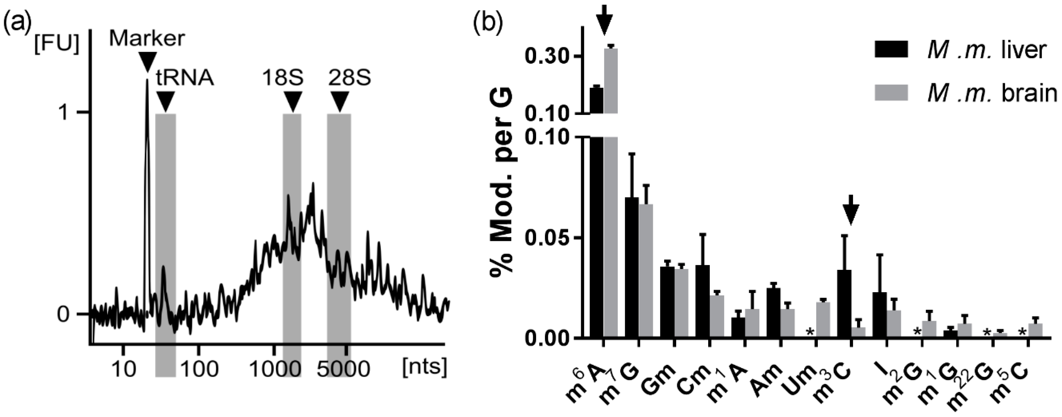 Genes 10 00026 g006 Genes 10 00026 g006