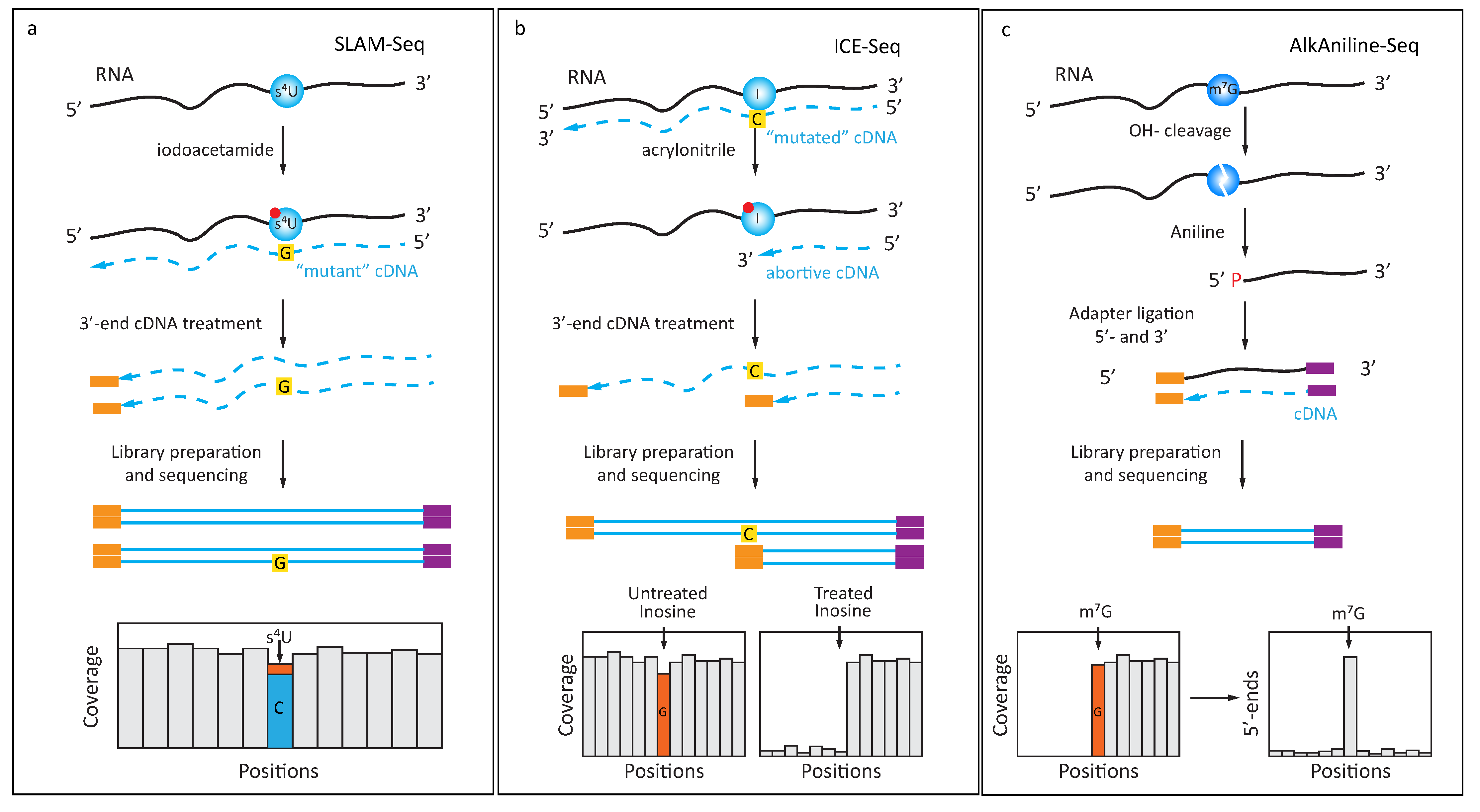 Genes 10 00035 g002