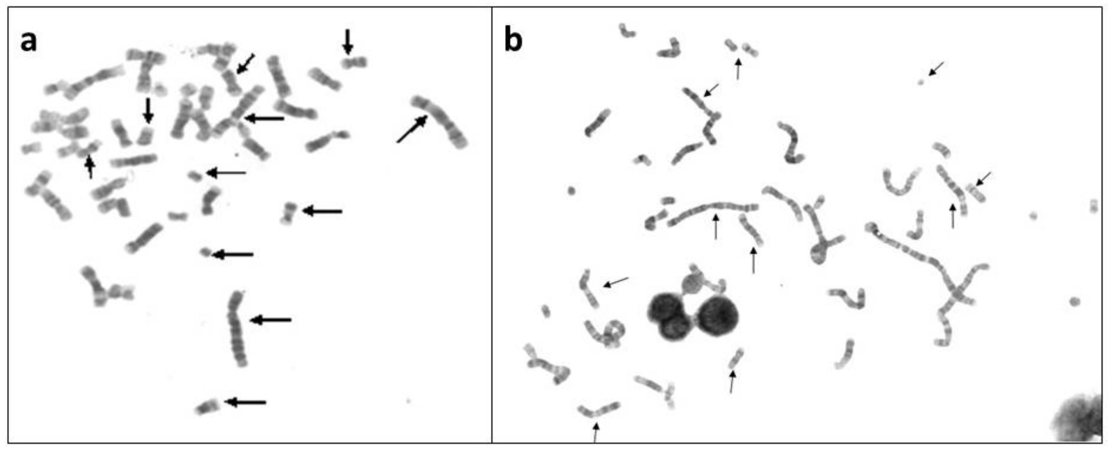 Genes 10 00037 g002 Genes 10 00037 g002