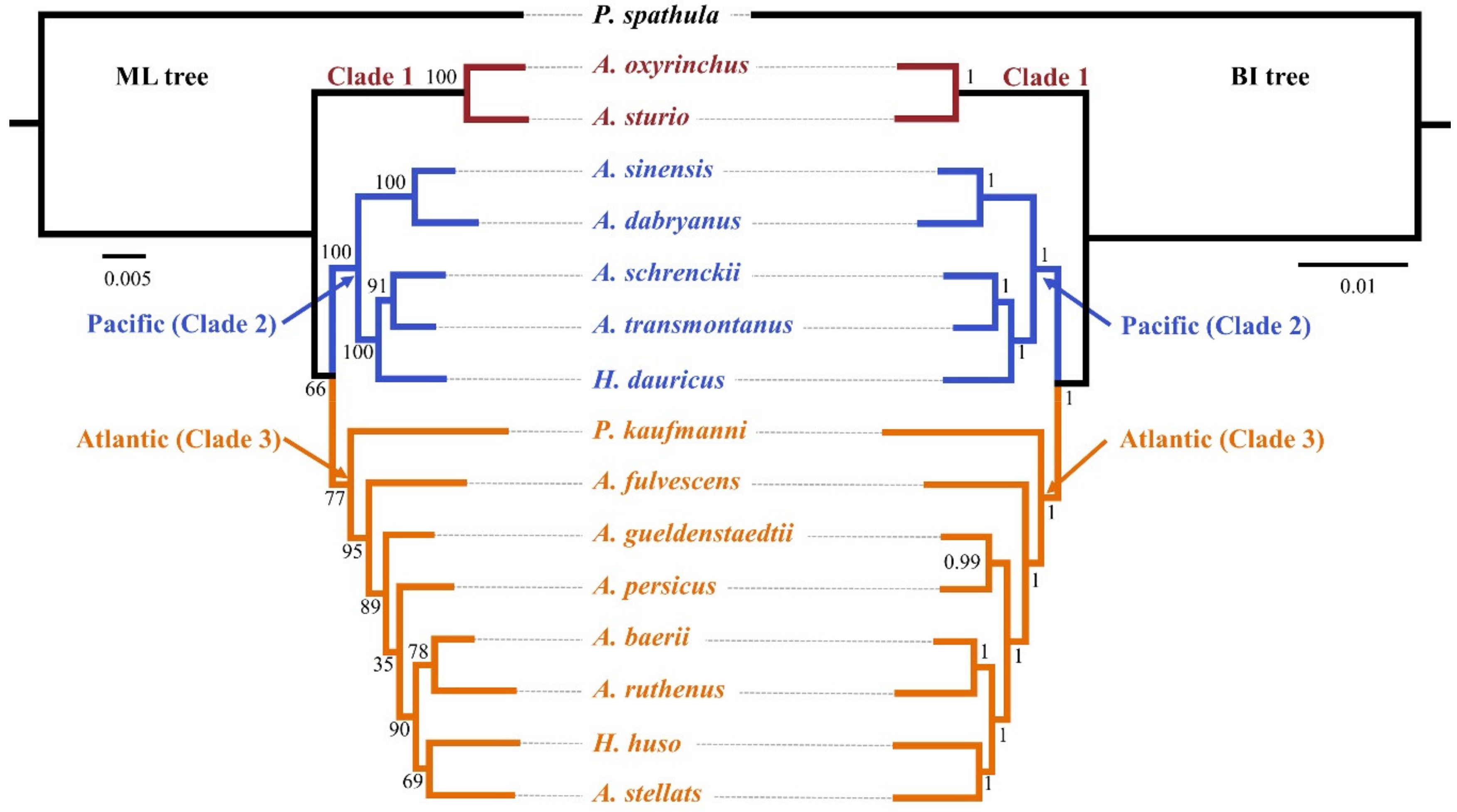 Genes 10 00038 g001 Genes 10 00038 g001