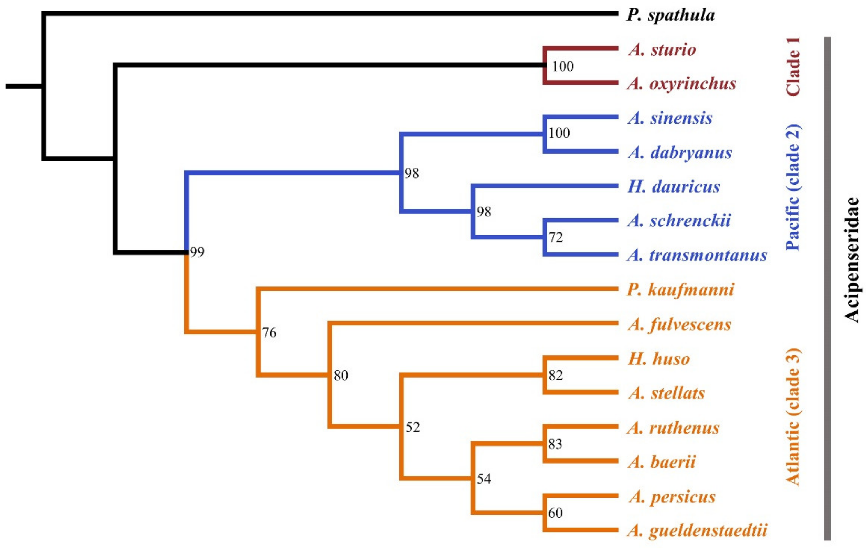Genes 10 00038 g002 Genes 10 00038 g002