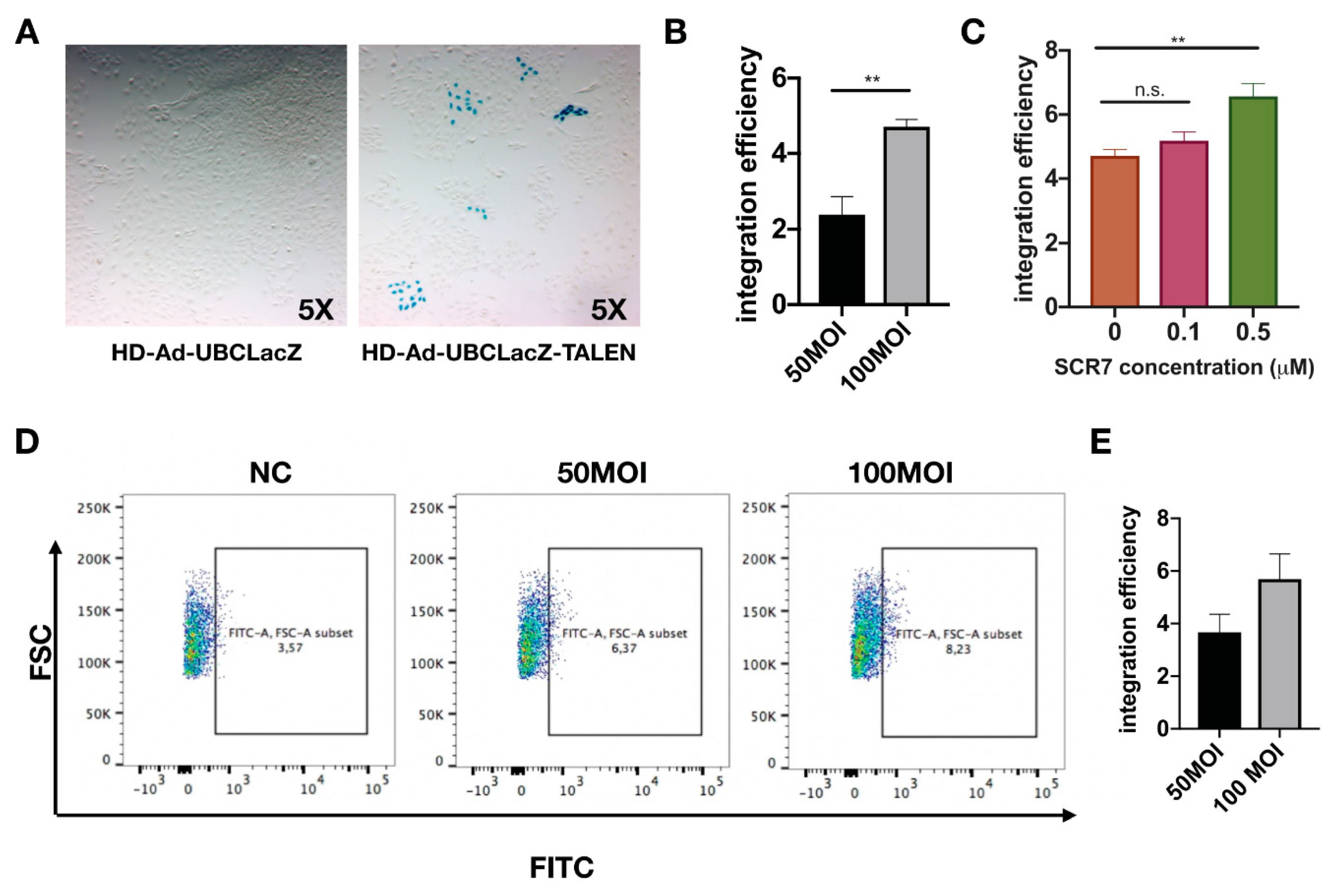 Genes 10 00039 g003 Genes 10 00039 g003