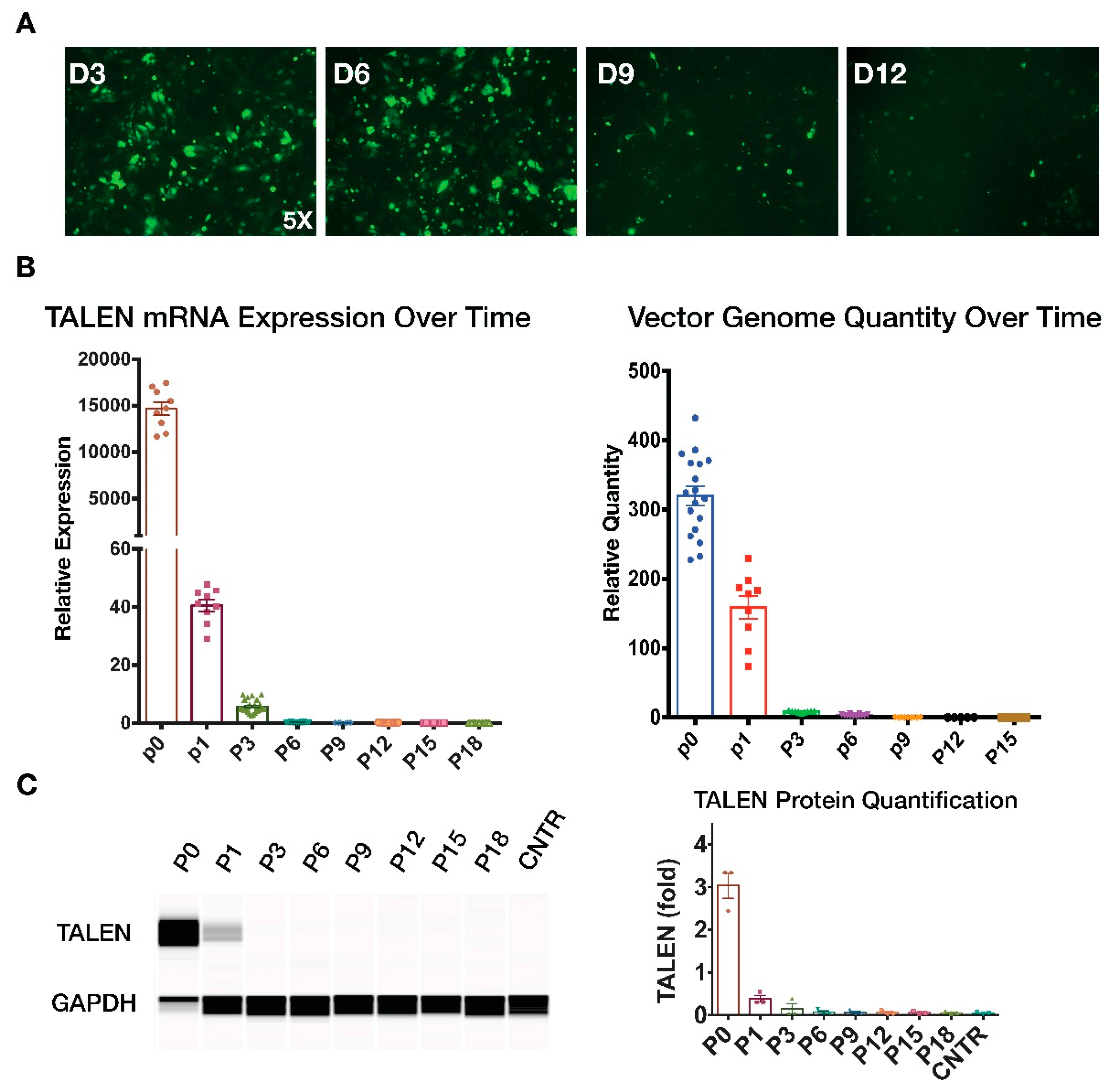 Genes 10 00039 g006 Genes 10 00039 g006